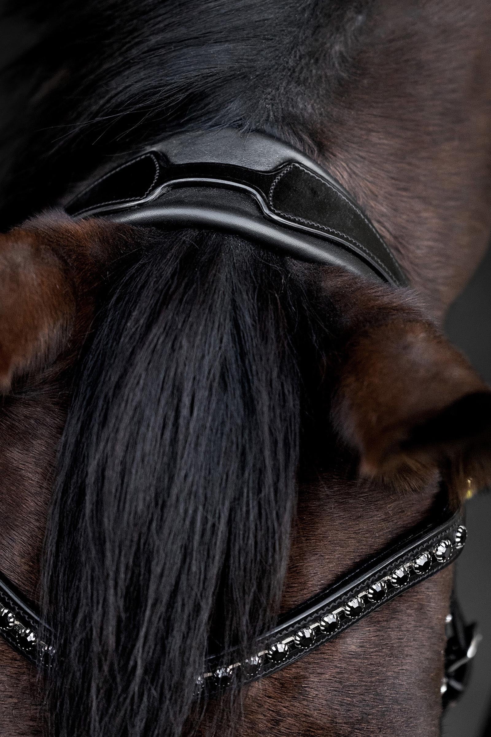 Waldhausen S-Line Blackshine Bridle Patent Leather Bridles & Reins