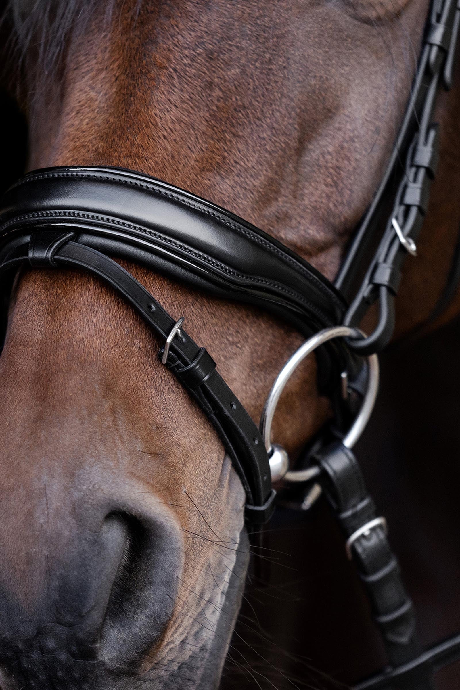 Lifestyle shot 4