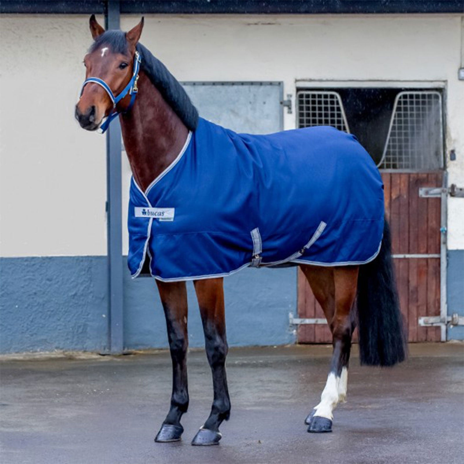 Bucas Freedom Staldeken 150 Paardendekens