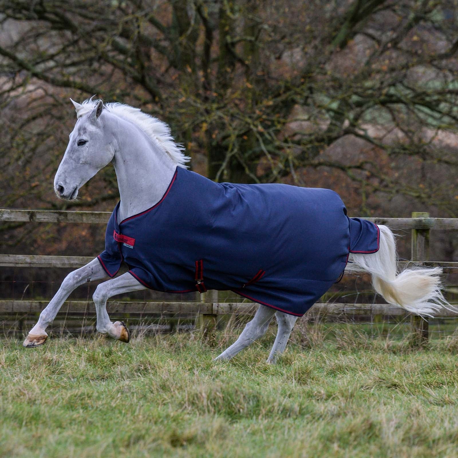 Bucas Freedom Turnout Deken, 150g Paardendekens