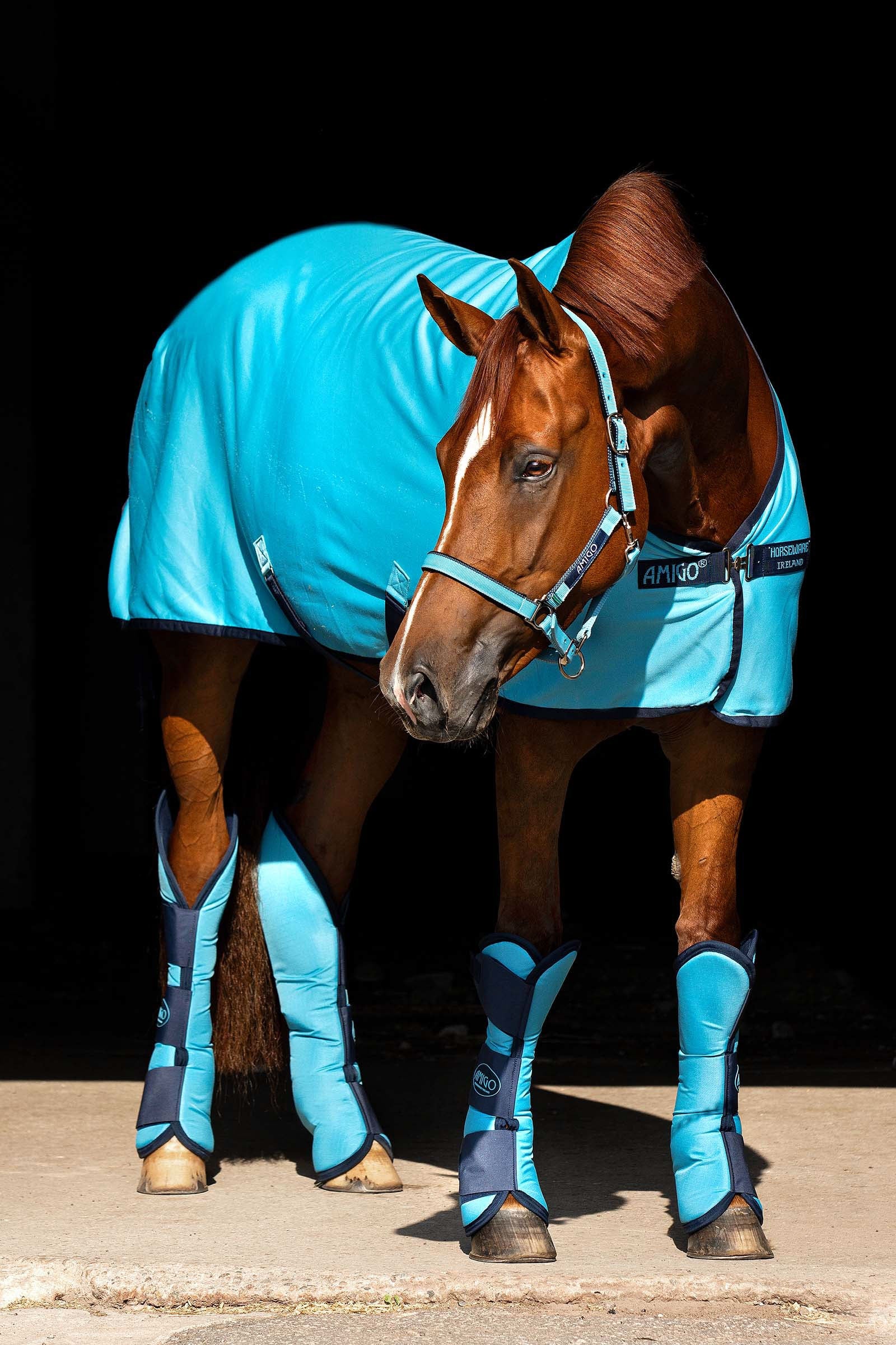 Horseware Amigo Jersey Cooler Horse Rugs