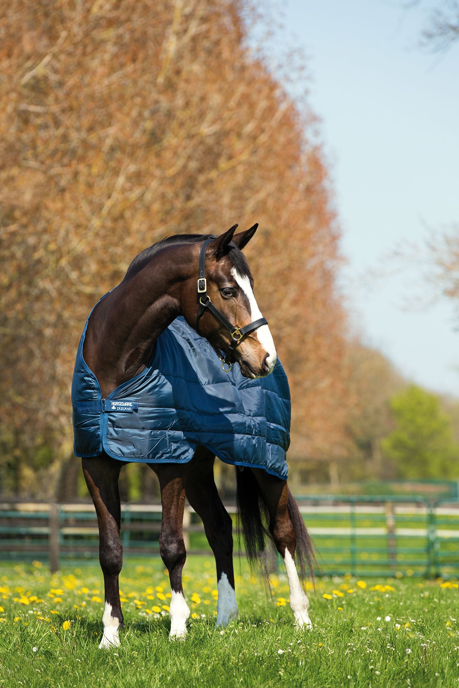 Horseware Liner onderdeken, 200 g Paardendekens