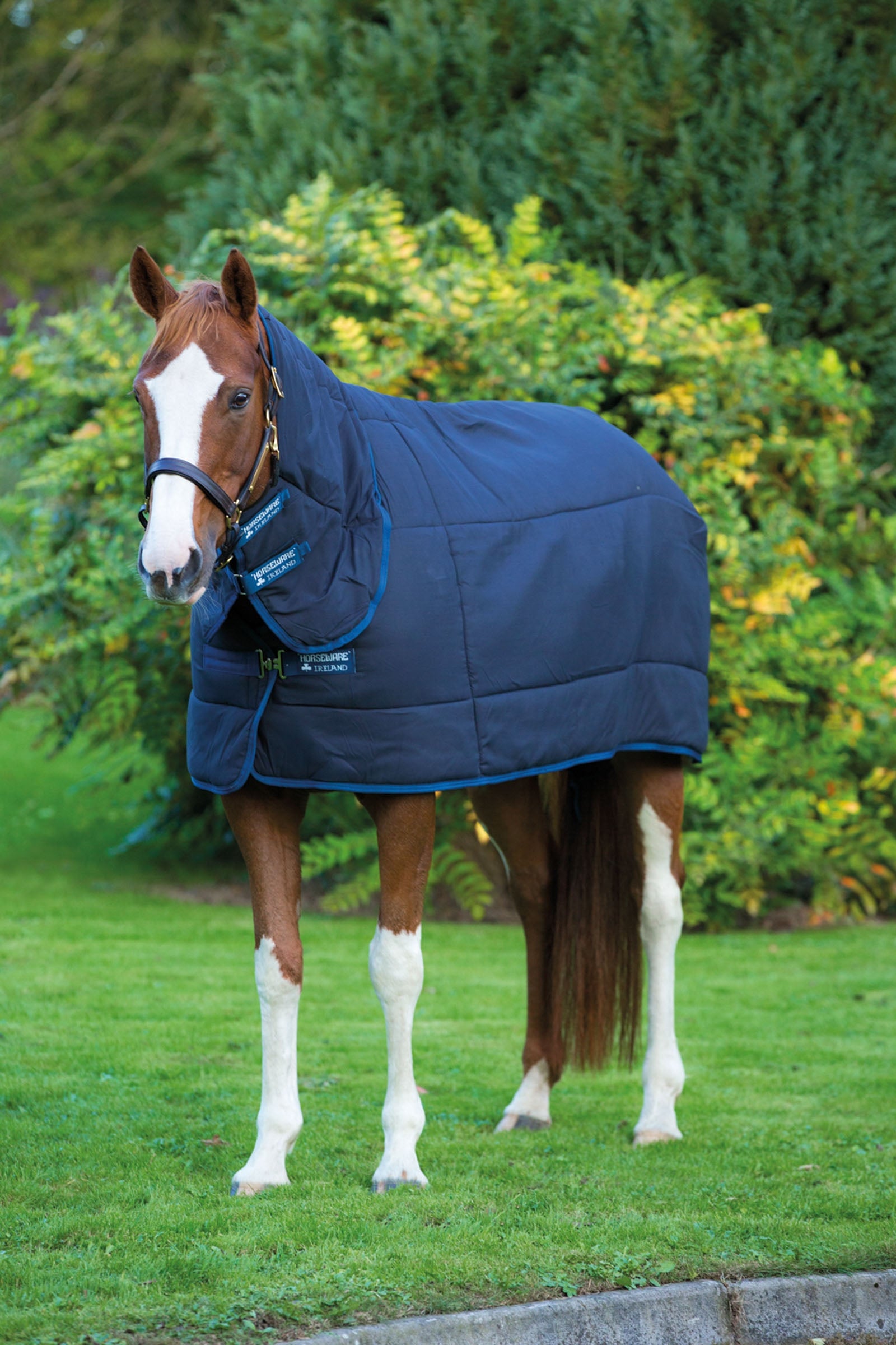 Horseware Plus Onderdeken, geïntegreerd halsstuk, 300g Paardendekens