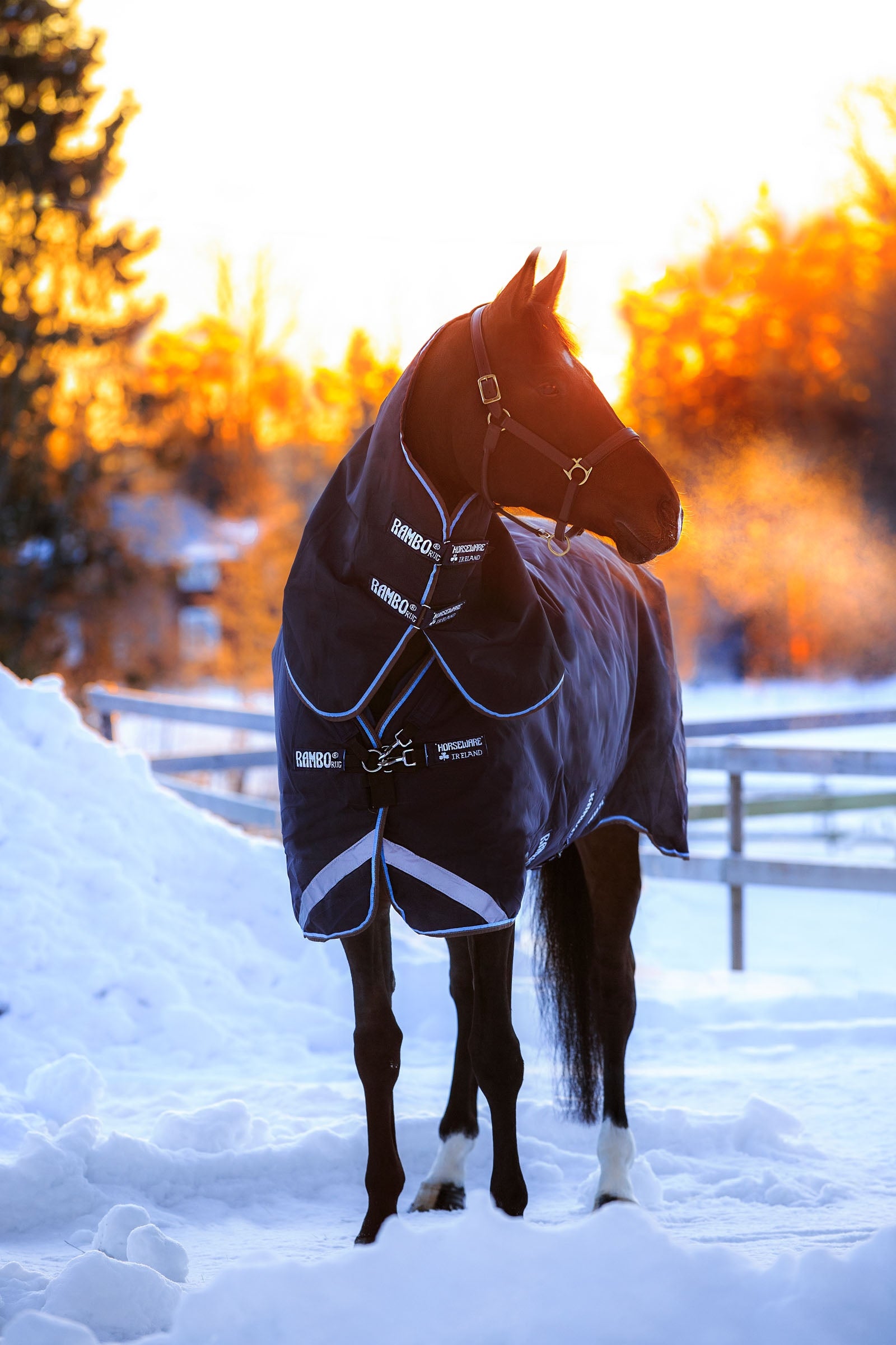Horseware Rambo Duo Deken, 400g Paardendekens