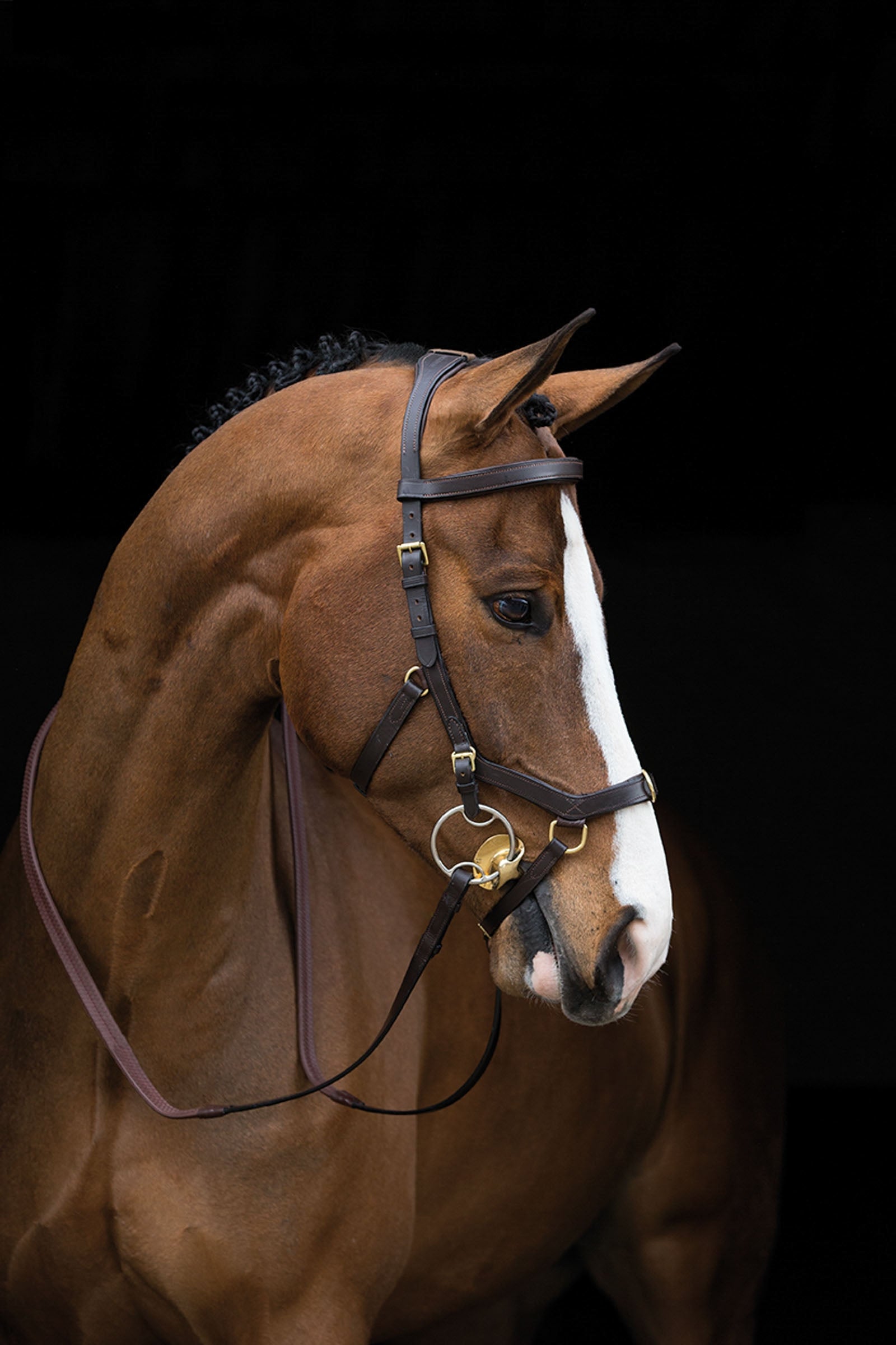 Horseware Rambo Micklem Multi Bridle Bridles & Reins