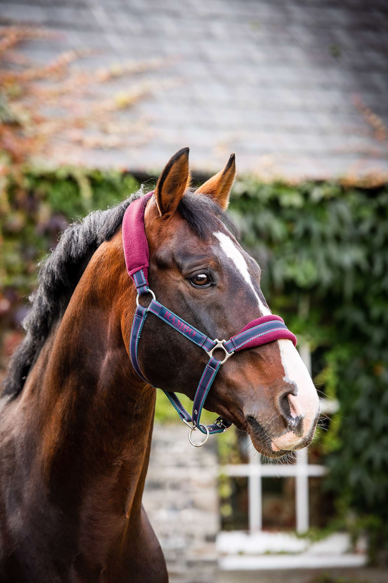 Horseware Rambo Onderlegde Halster Halsters & Halstertouwen