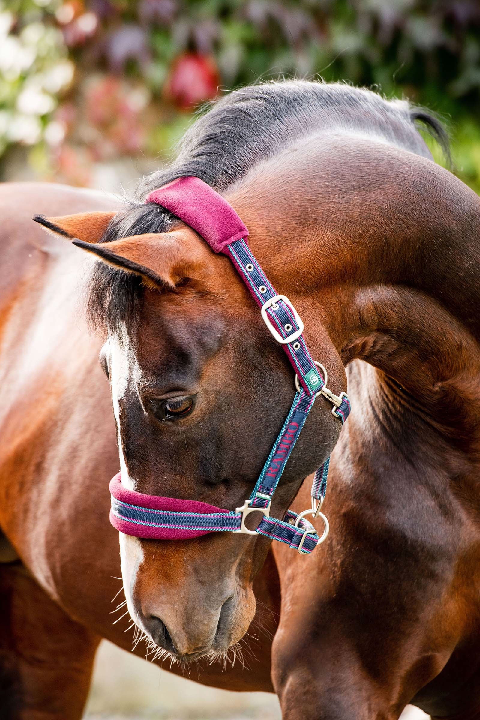 Horseware Rambo Padded Head collar Halters & Leads