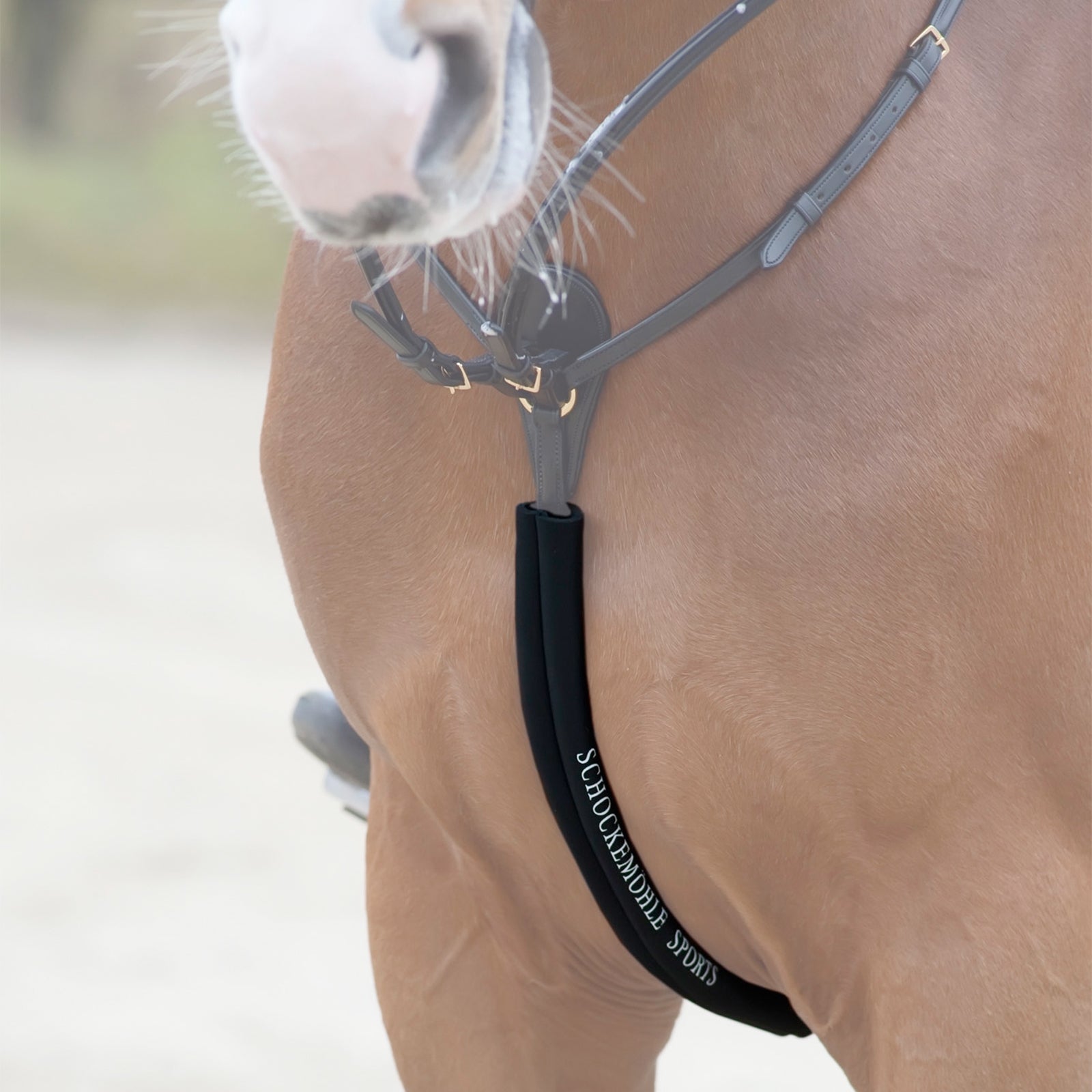 Schockemöhle Sports Body Guard, neopreen hoes borststuk Hoofdstellen & Teugels