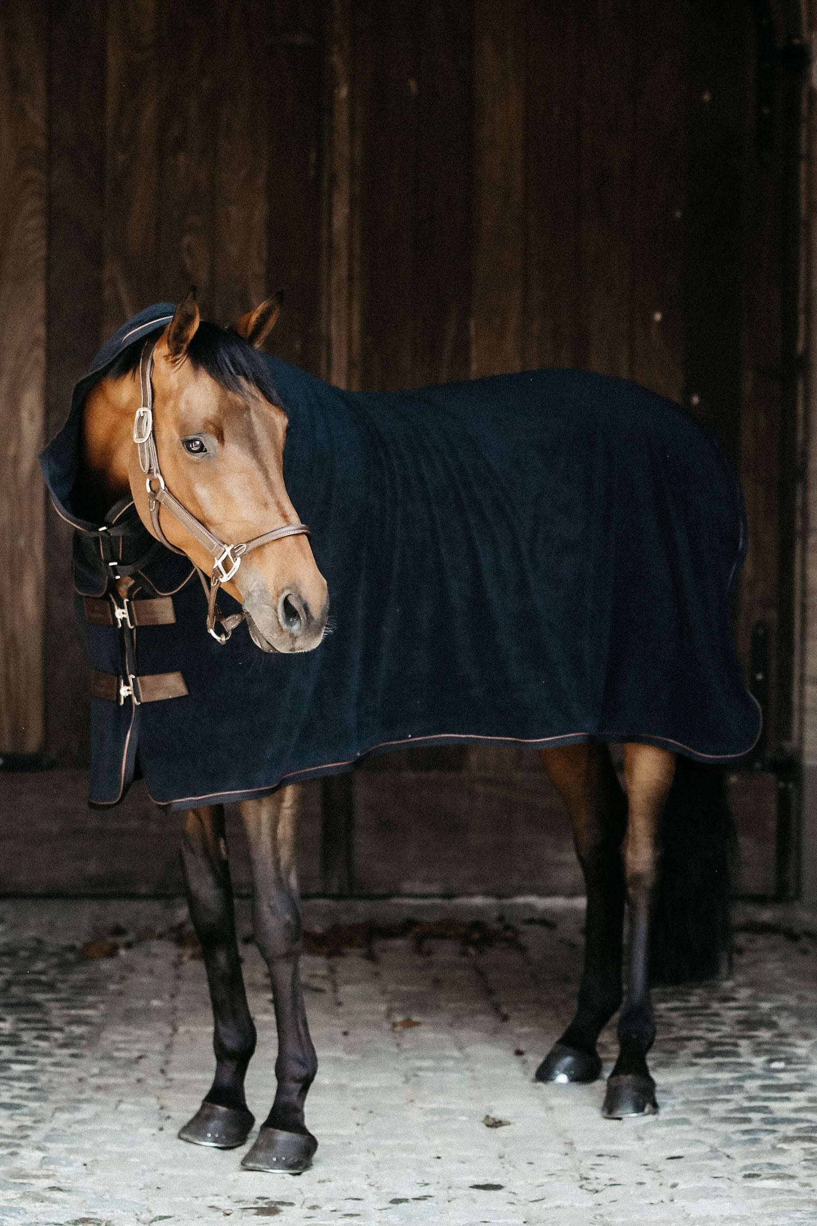 Kentucky Horsewear Towel Rug Paardendekens