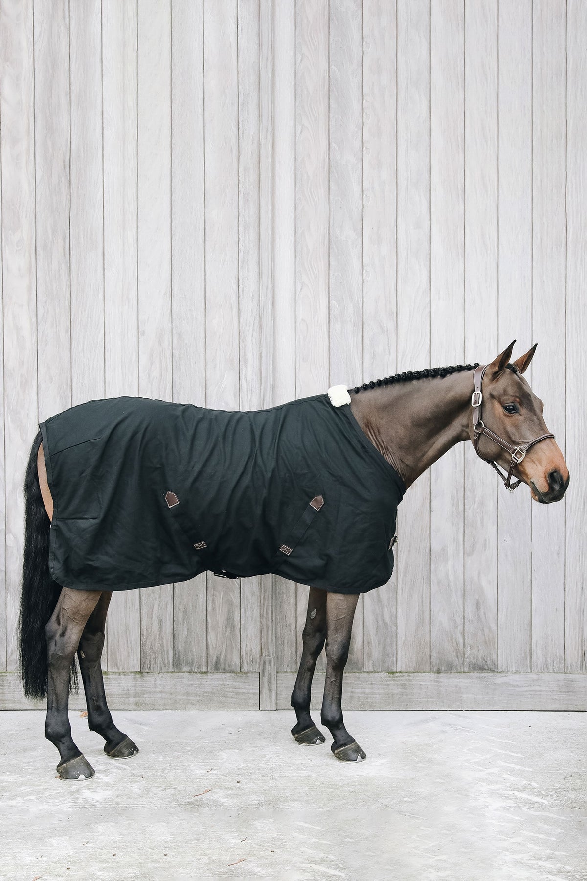 Kentucky Horsewear Cotton sheet Paardendekens