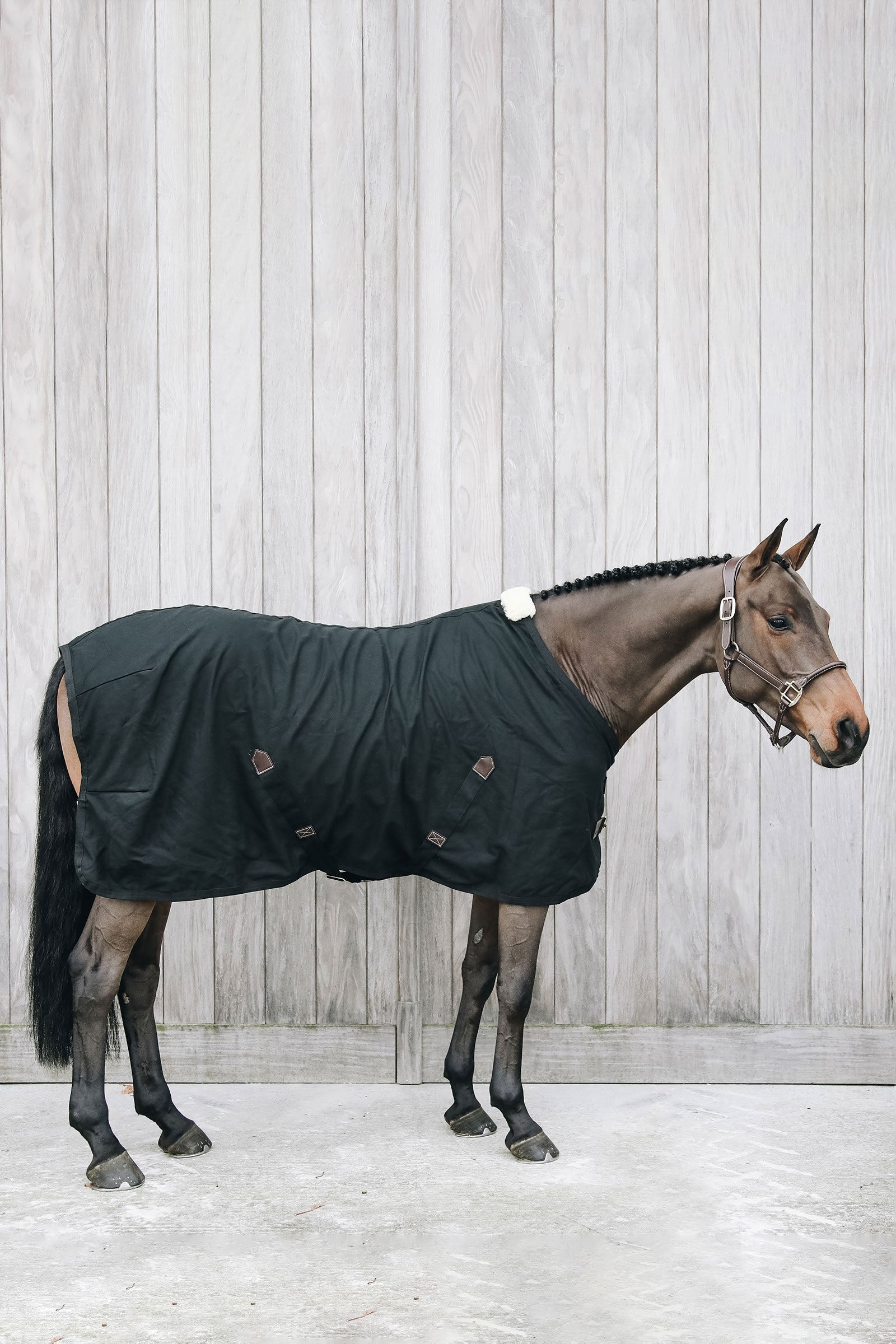 Kentucky Horsewear Cotton sheet Paardendekens