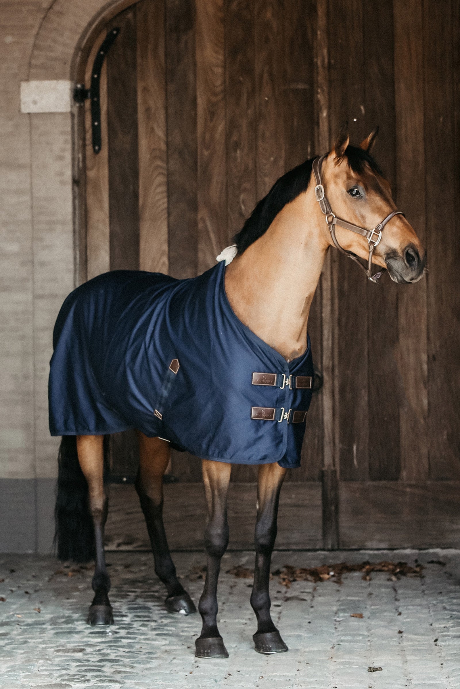Kentucky Horsewear Cotton sheet Paardendekens