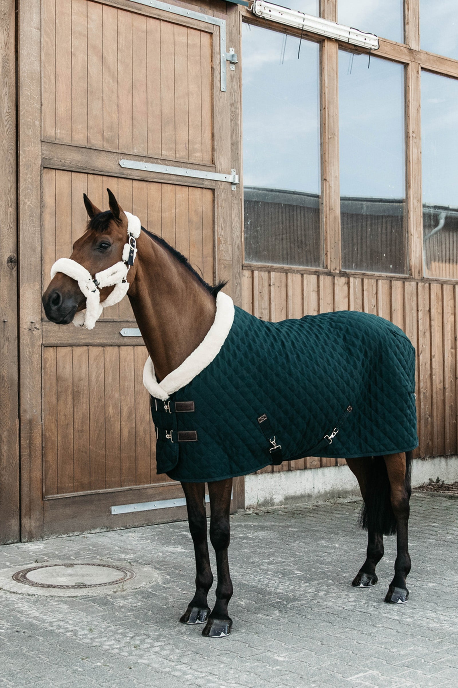 Kentucky Horsewear Showdeken 160g Paardendekens
