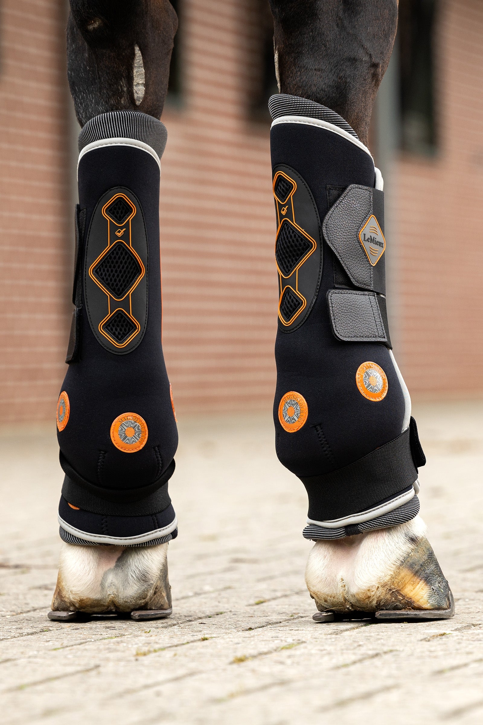 LeMieux Conductive Magno Boots (front / hind) Leg Protection & Hoof Protection for Horses
