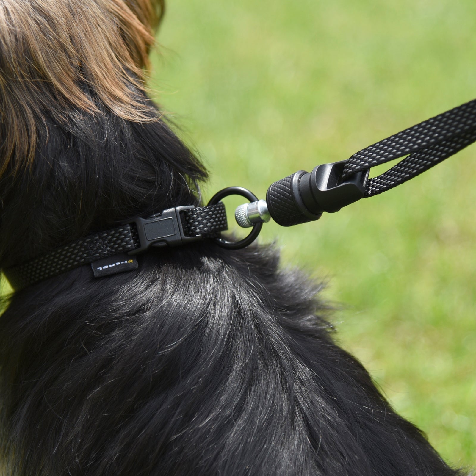 GoLeyGO GoLeyGo Dog Leash Flat w/ Adapter-Pin Dog Accesories