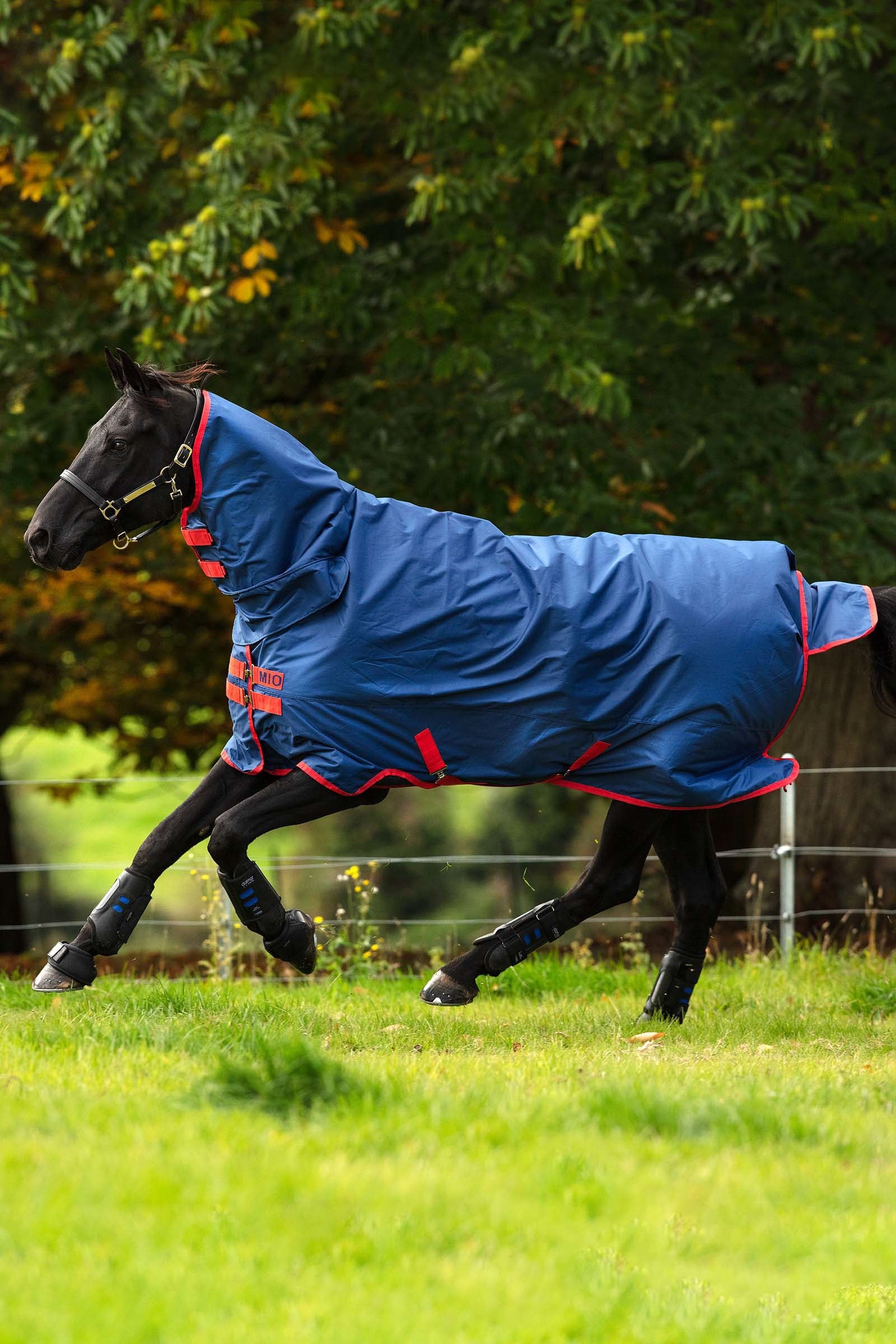 Horseware Mio 1 deel 350 grams Paardendekens