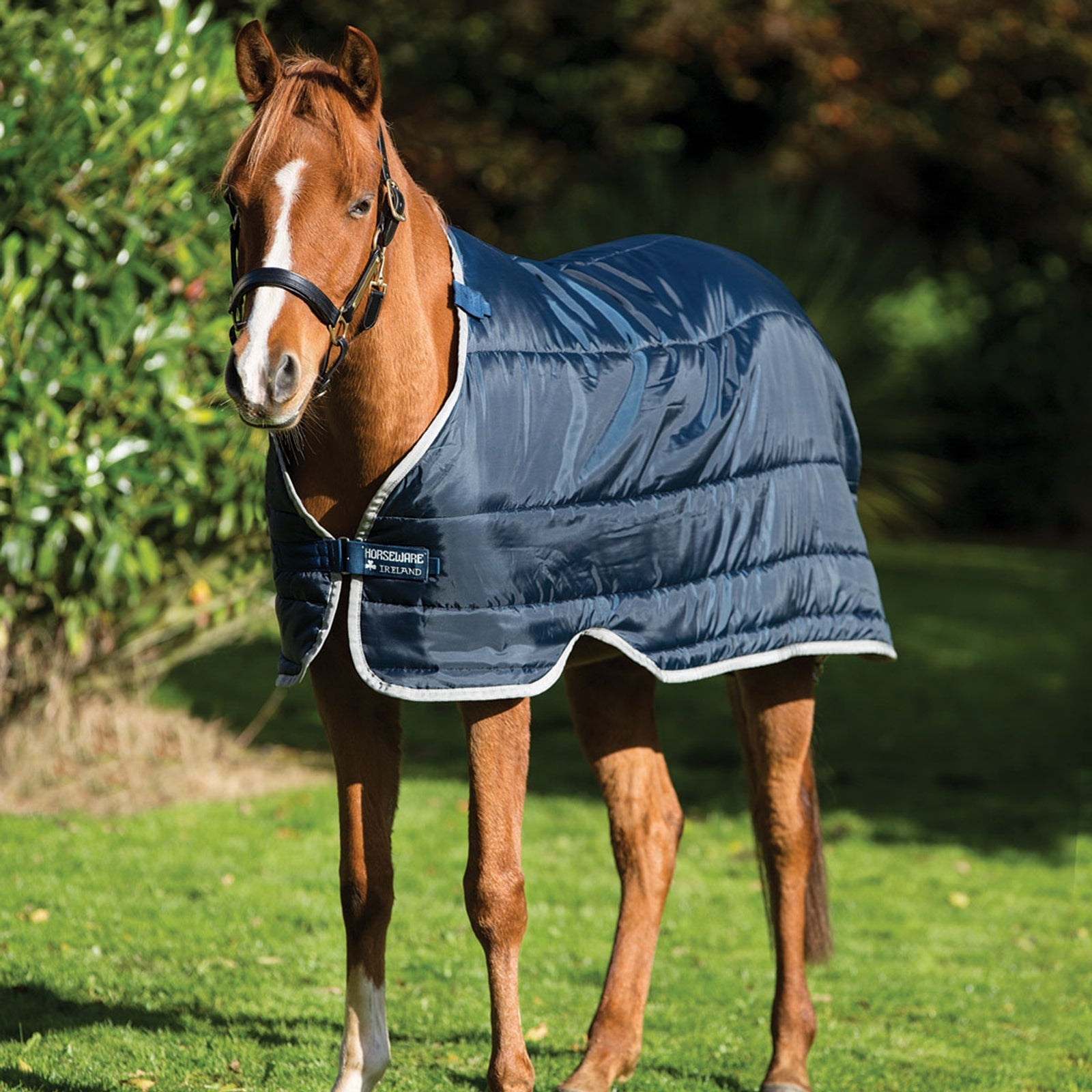 HORZE Pony Glasgow Coperta Pony Pesante 300g - Impermeabile, Traspirante, Blu Scuro (160 Cm)