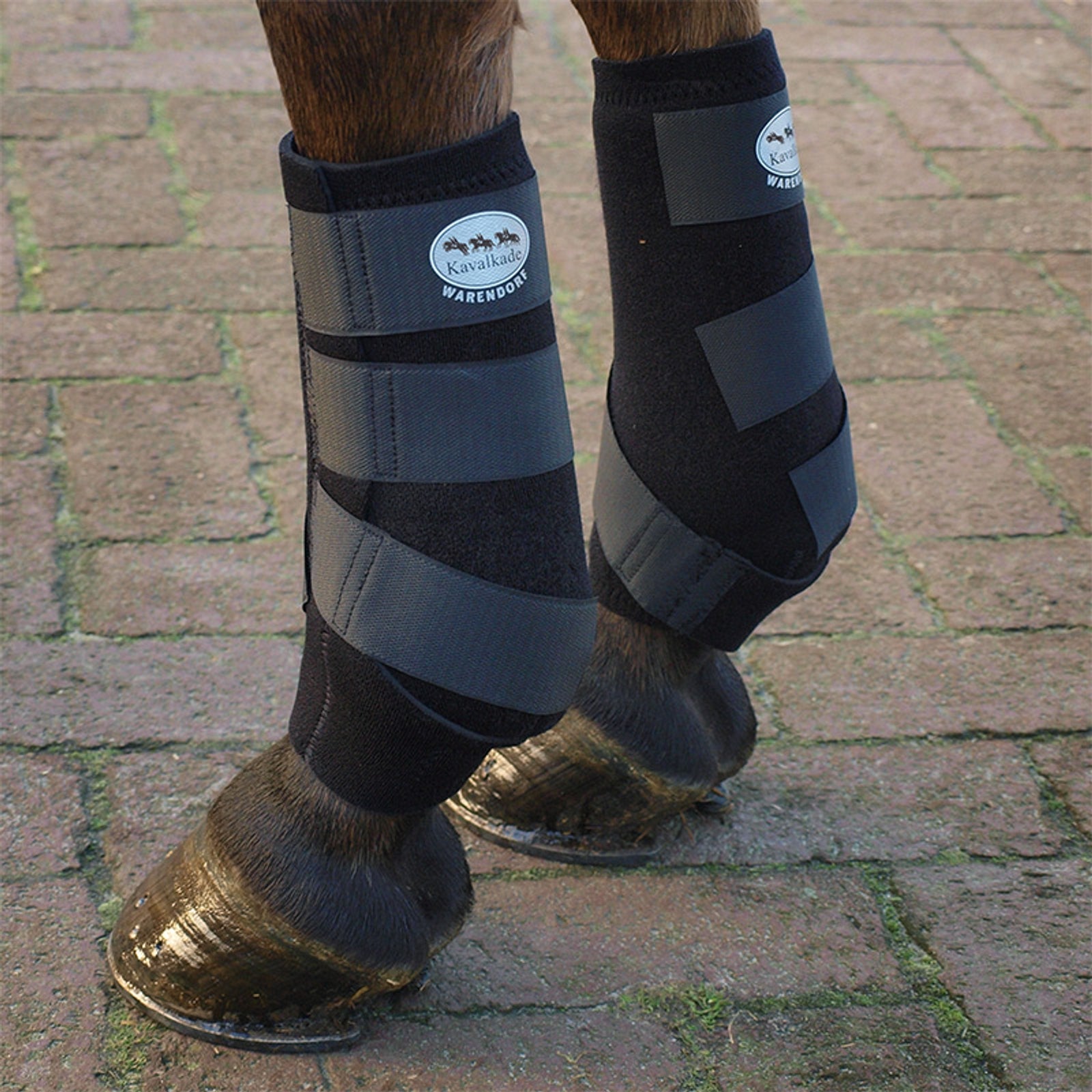Kavalkade Neopreen Beenbeschermers Leg Protection & Hoof Protection for Horses