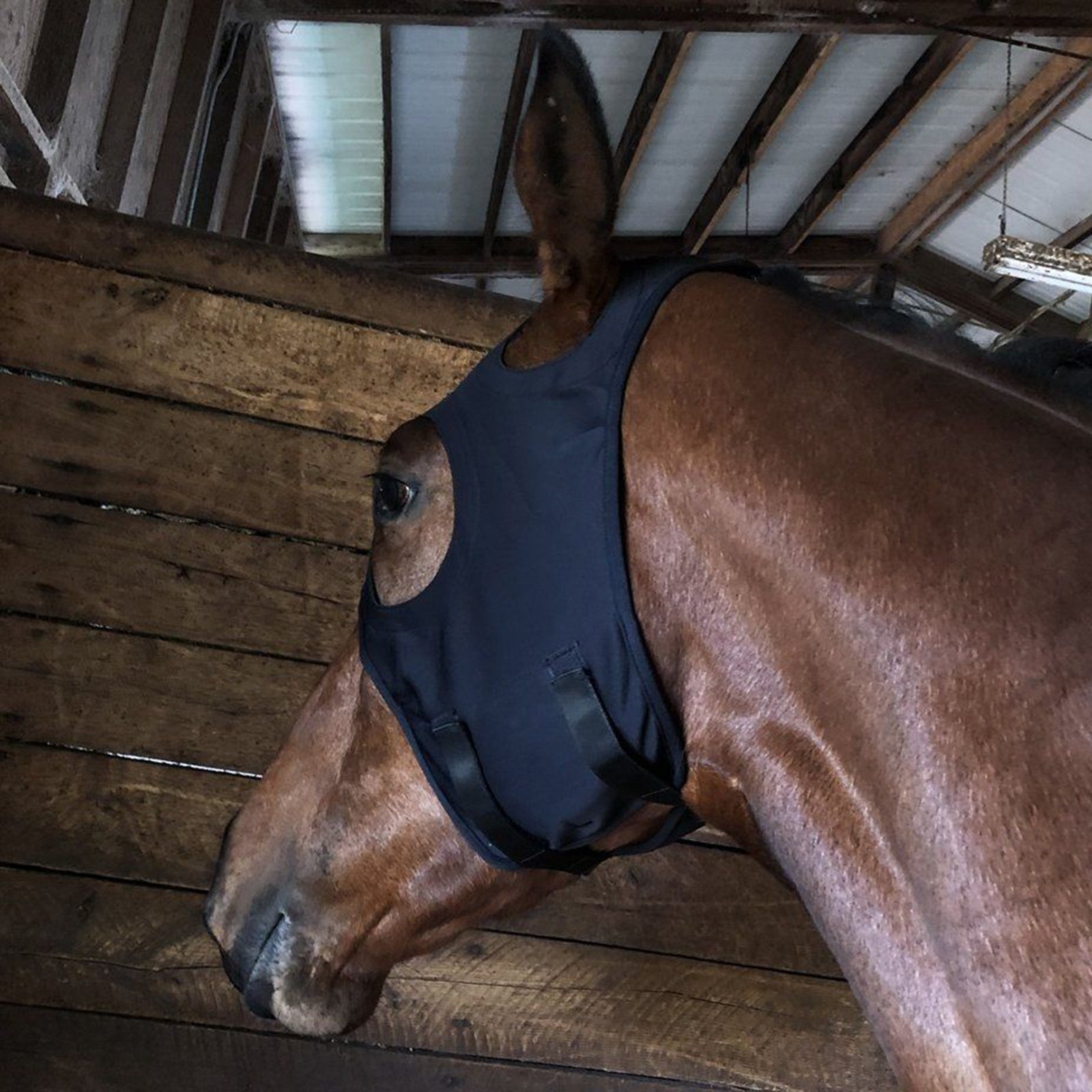 Fenwick Equestrian USA Fenwick Liquid Titanium Masker, klittenband Drafsport