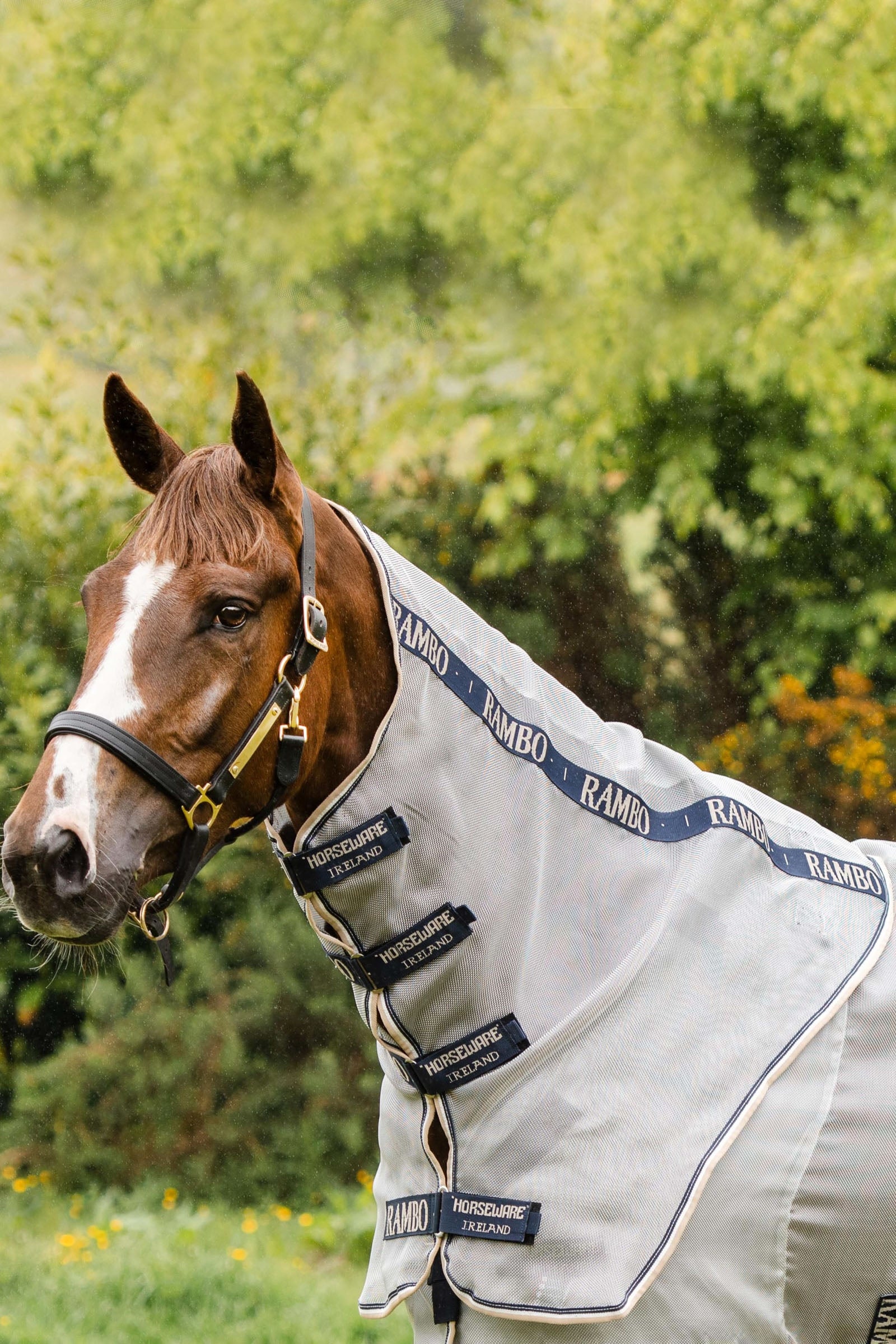 Horseware Rambo Beschermende Halshoes Paardendekens