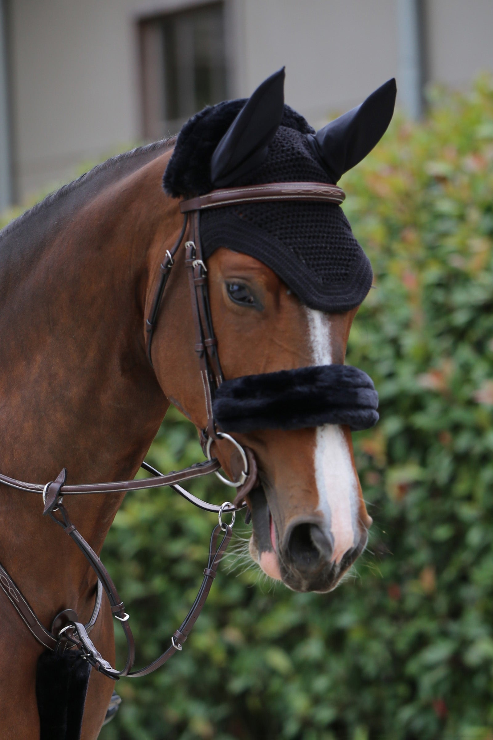 Kentucky Horsewear Lamsvel Neusriem hoes Hoofdstellen & Teugels