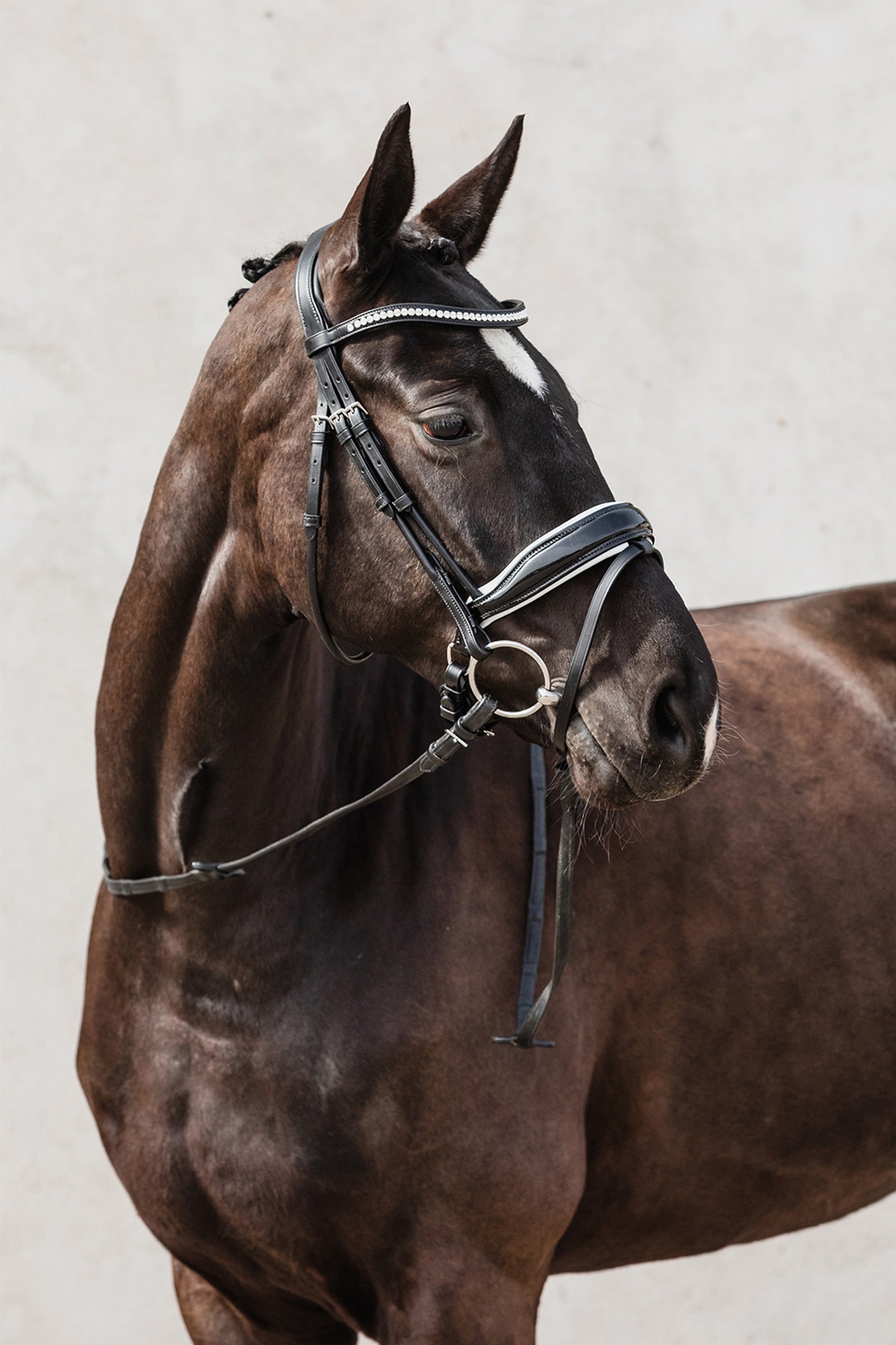 Schockemöhle Sports Malibu Anatomical Dressage Bridle Bridles & Reins