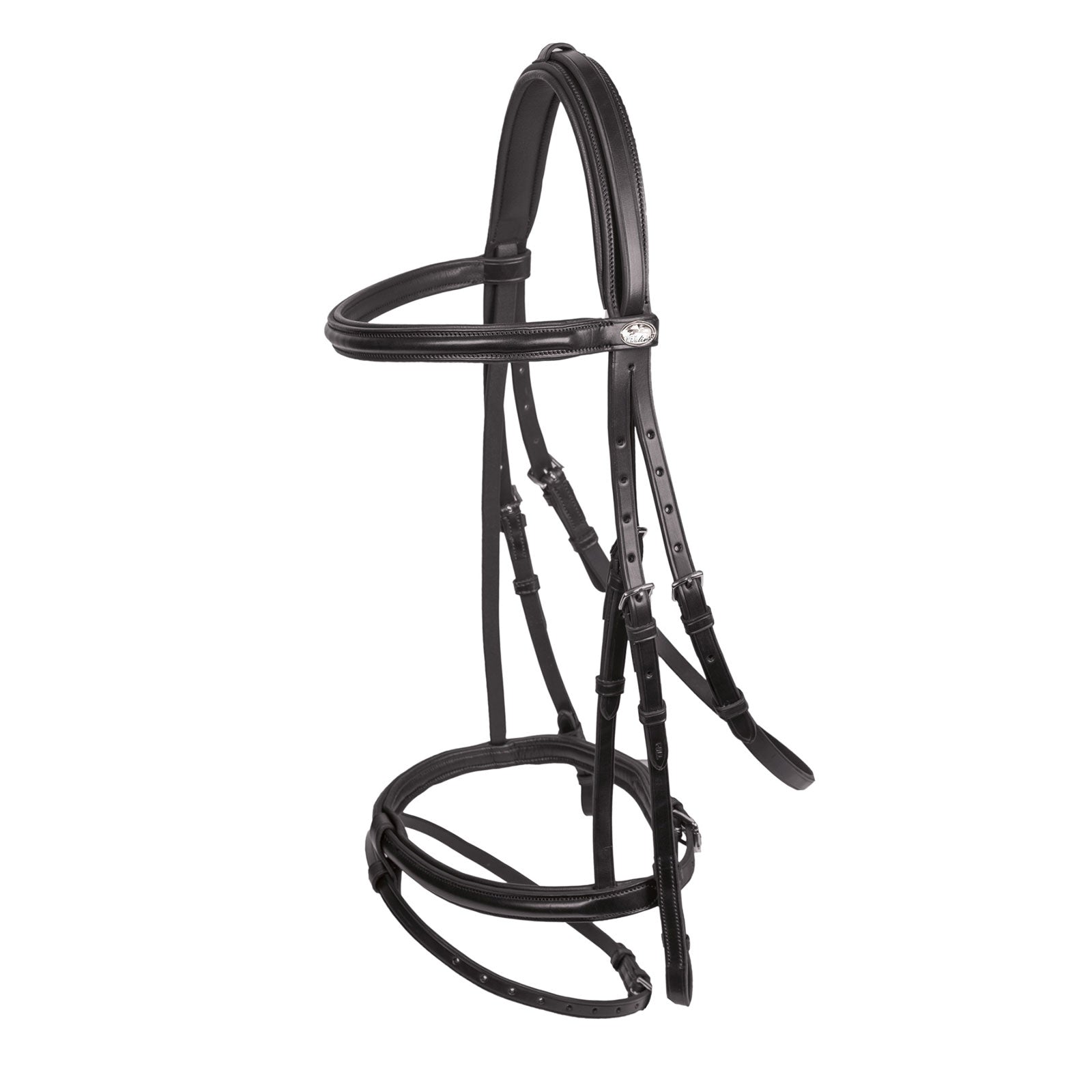 Alt Tag fallback text for IMAGE