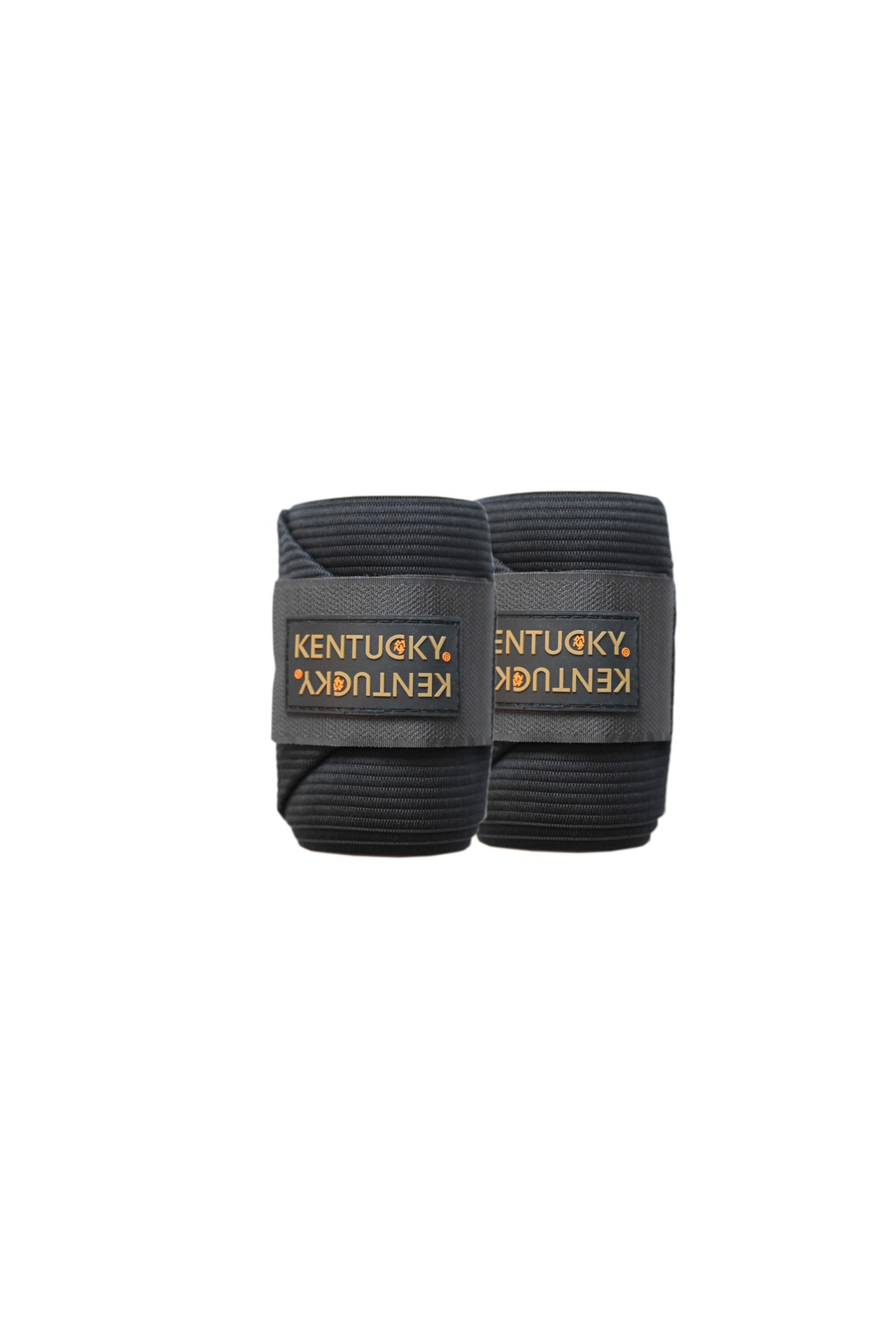 Alt Tag fallback text for IMAGE