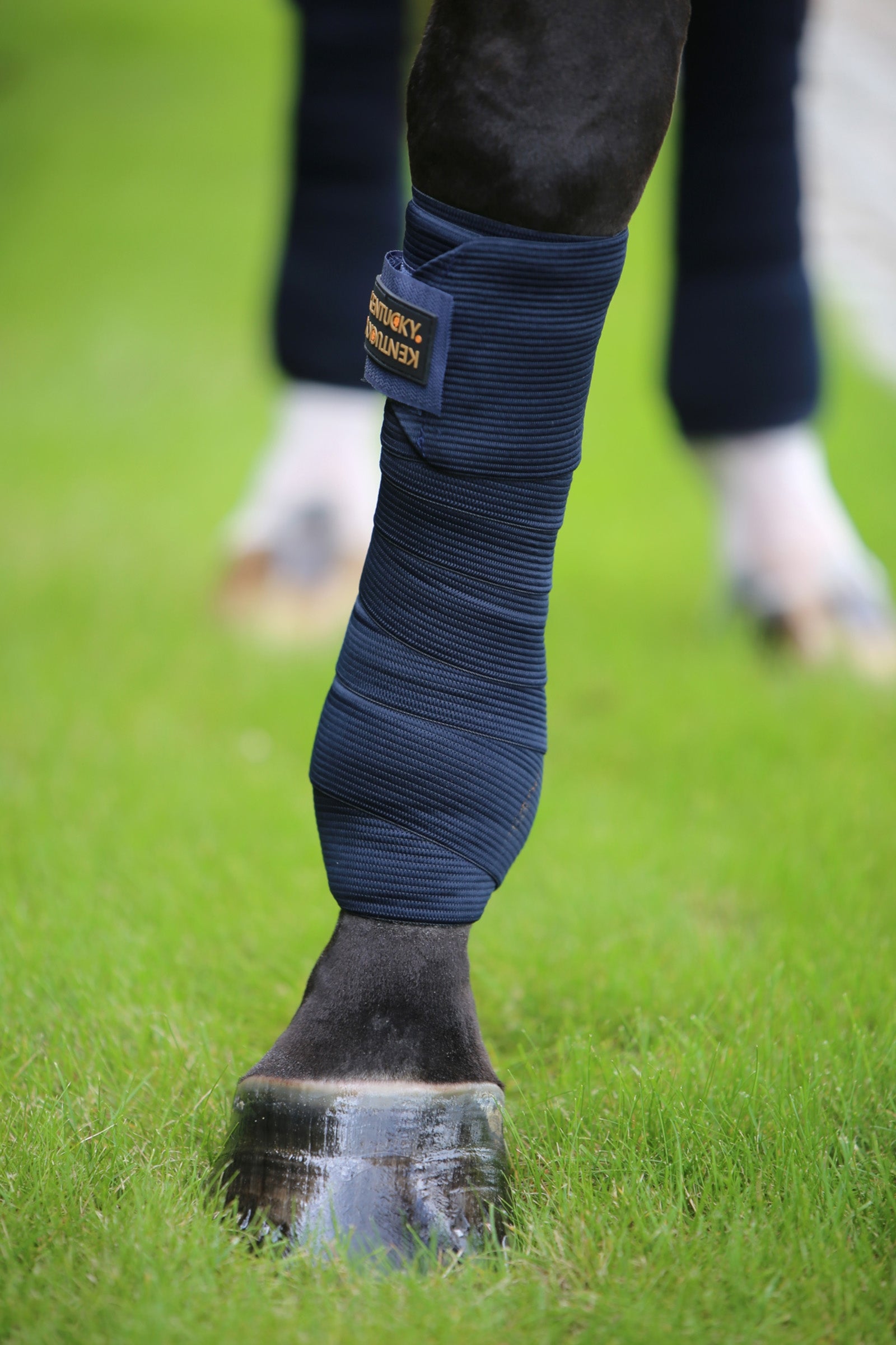 Kentucky Horsewear Elastic Bandages Leg & Hoof Protection
