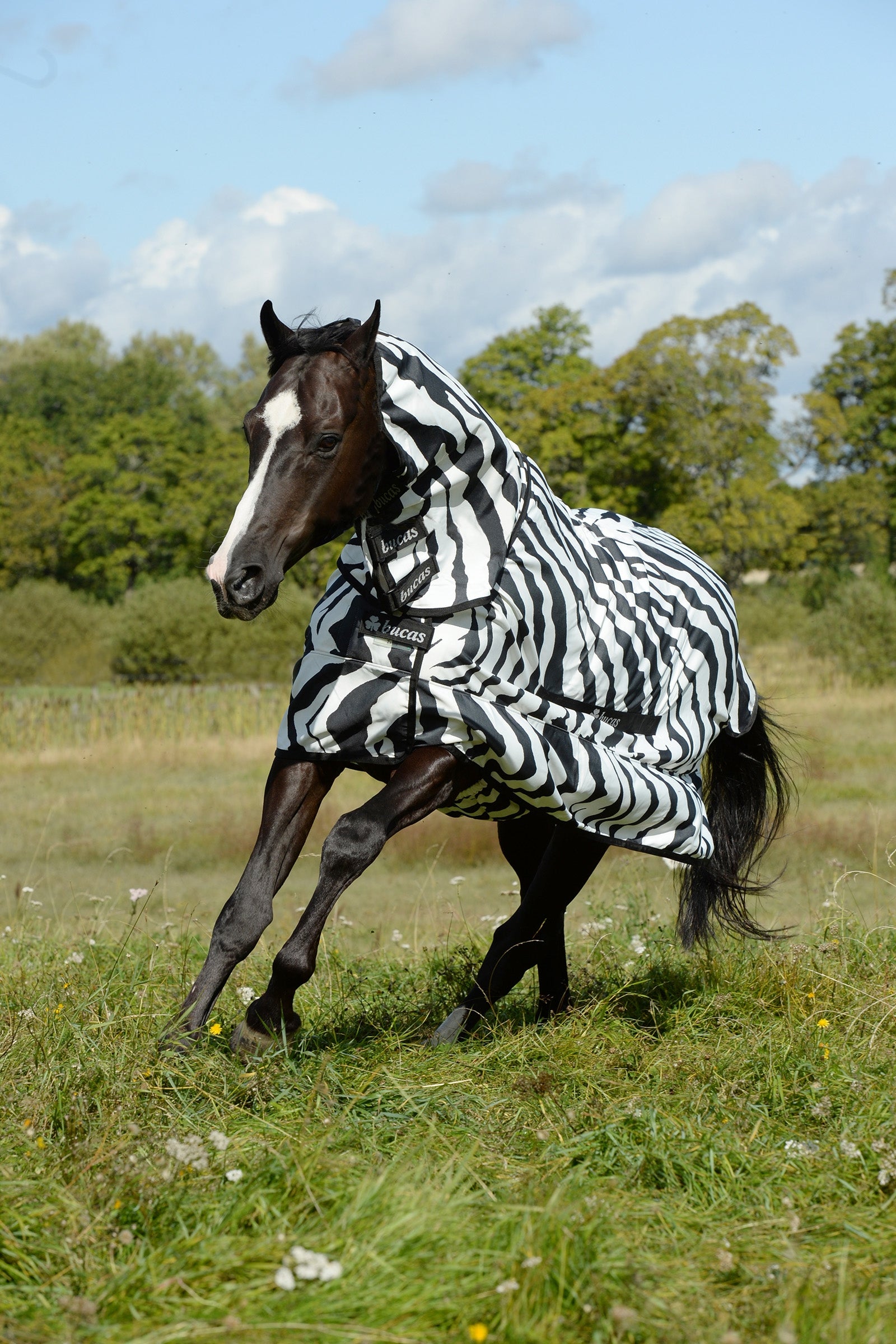 Bucas Sweet-itch Zebra Eczema Rug Pony with fixed Neck Horse Rugs