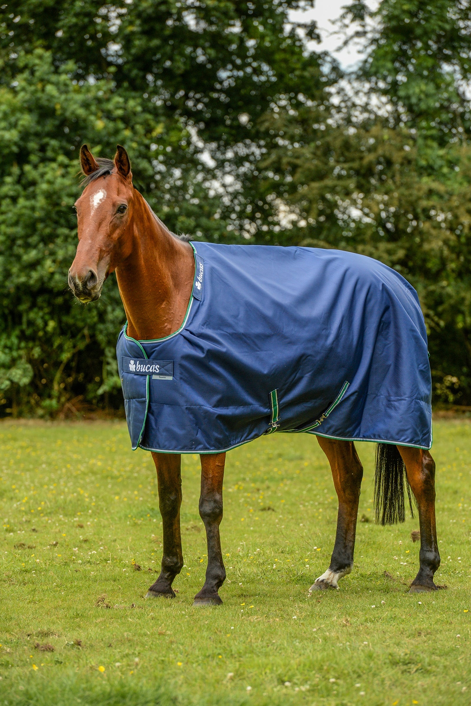 Bucas Smartex Extra Deken, 300g Paardendekens