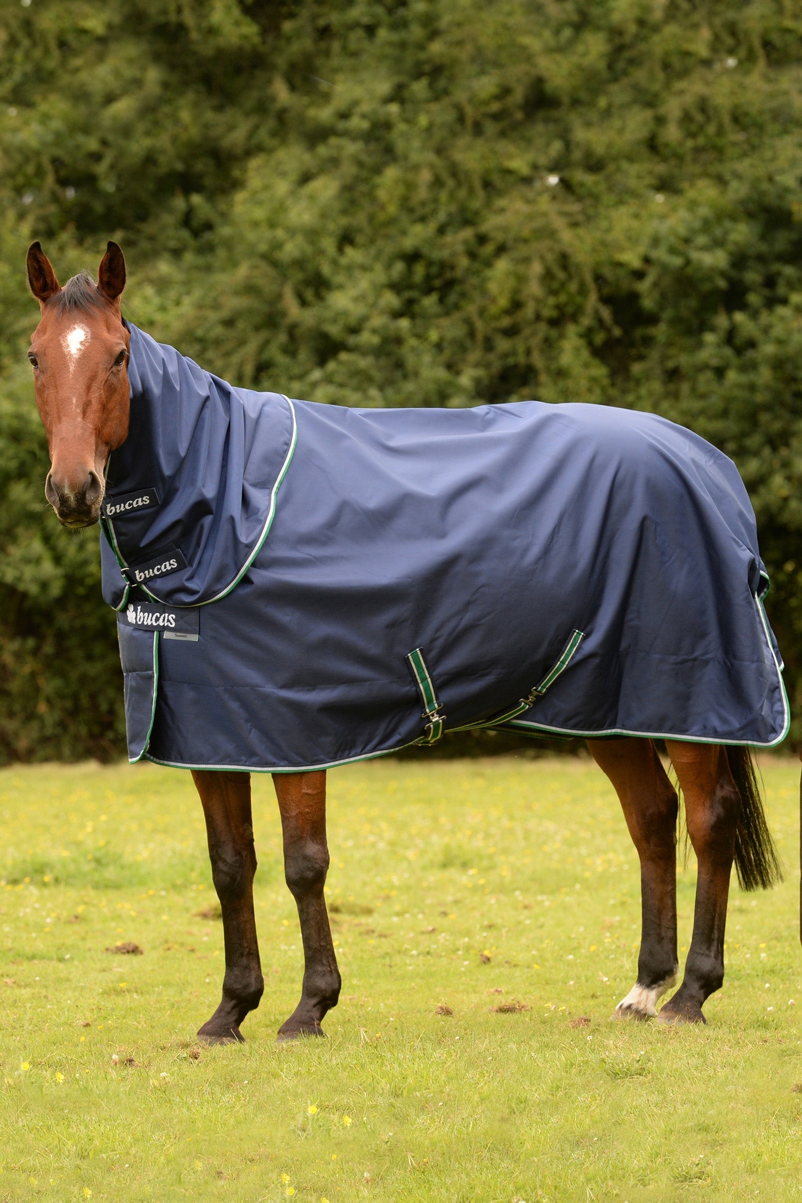 Smartex Rain Pony Turnout Rug with Cooling Function, 0g Blue/White 105 ...