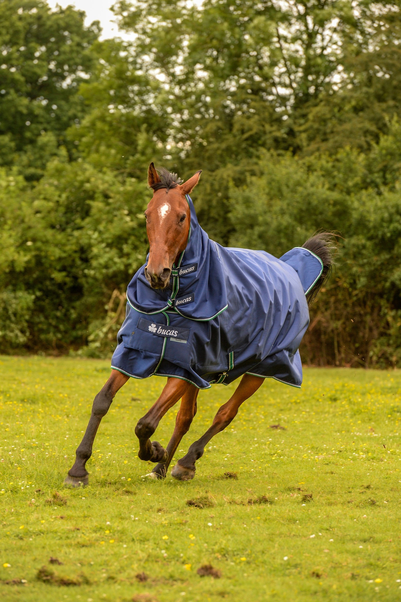 Smartex Rain Pony Turnout Rug with Cooling Function, 0g Blue/White 105 ...
