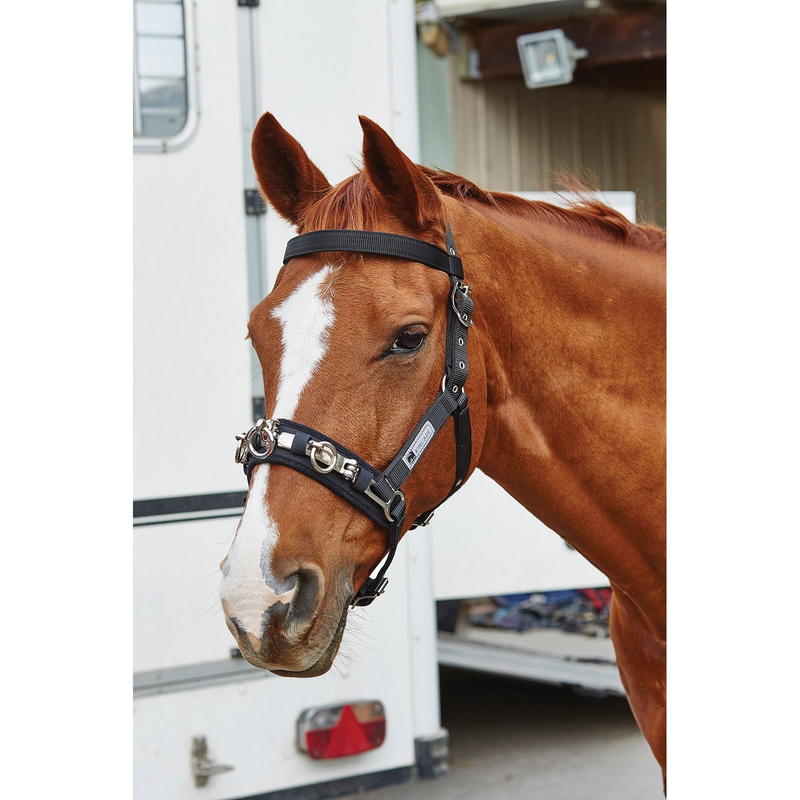 Kincade Coordinate Longeer Kaptoom Longeren & Longeerhulp