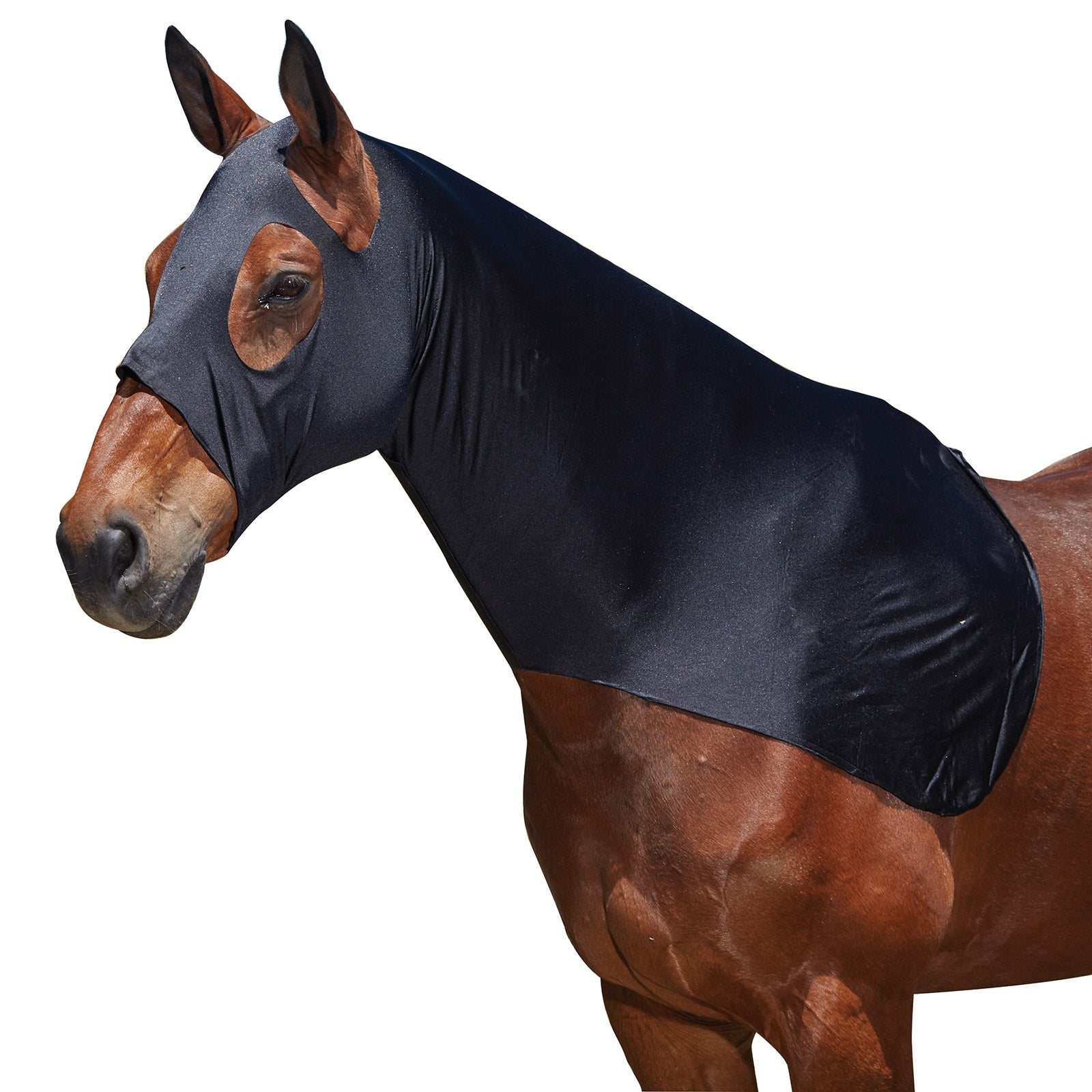 Weatherbeeta Stretch Hals Paardendekens