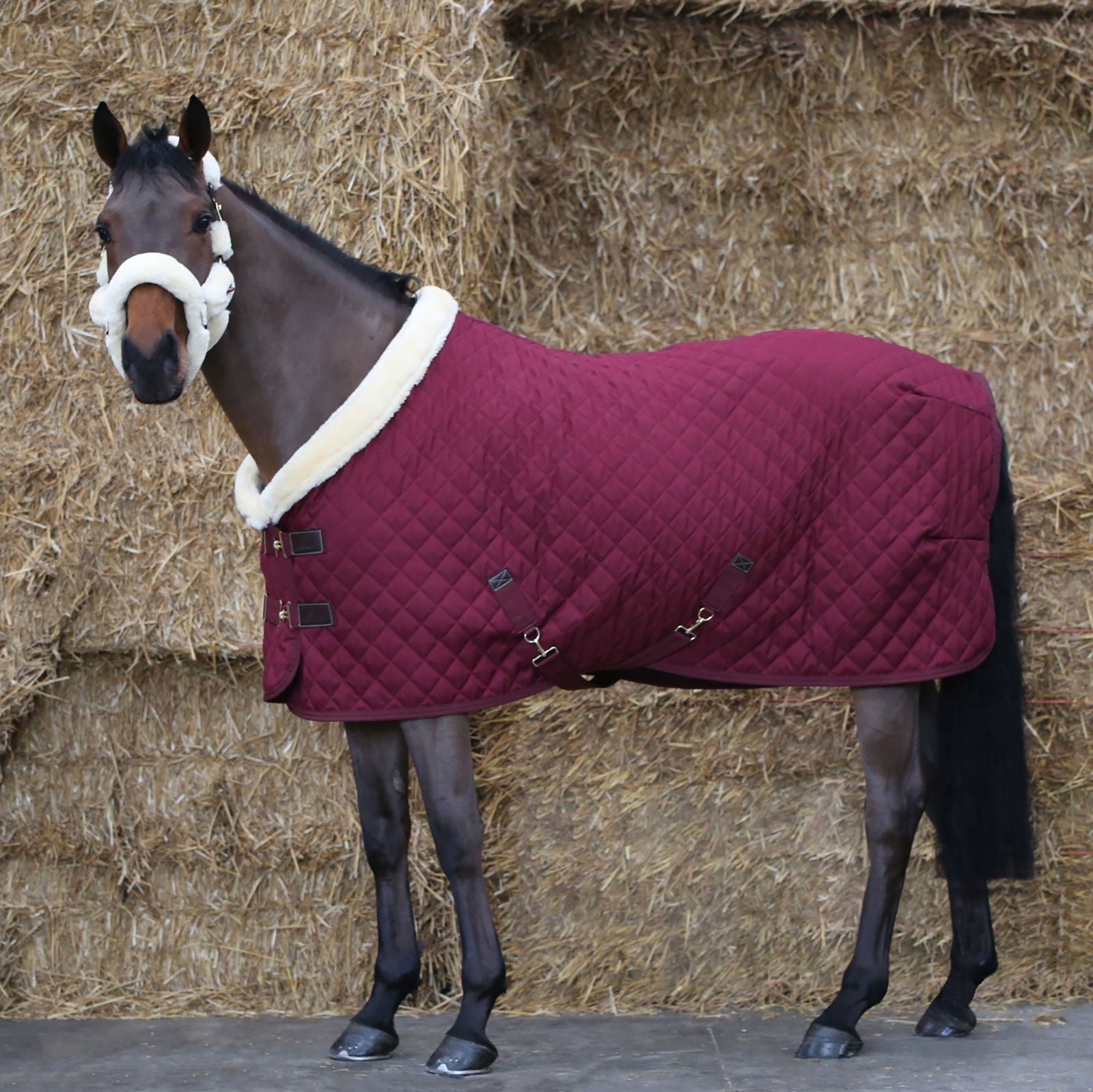 Kentucky Horsewear Showdeken, 160 gram Paardendekens