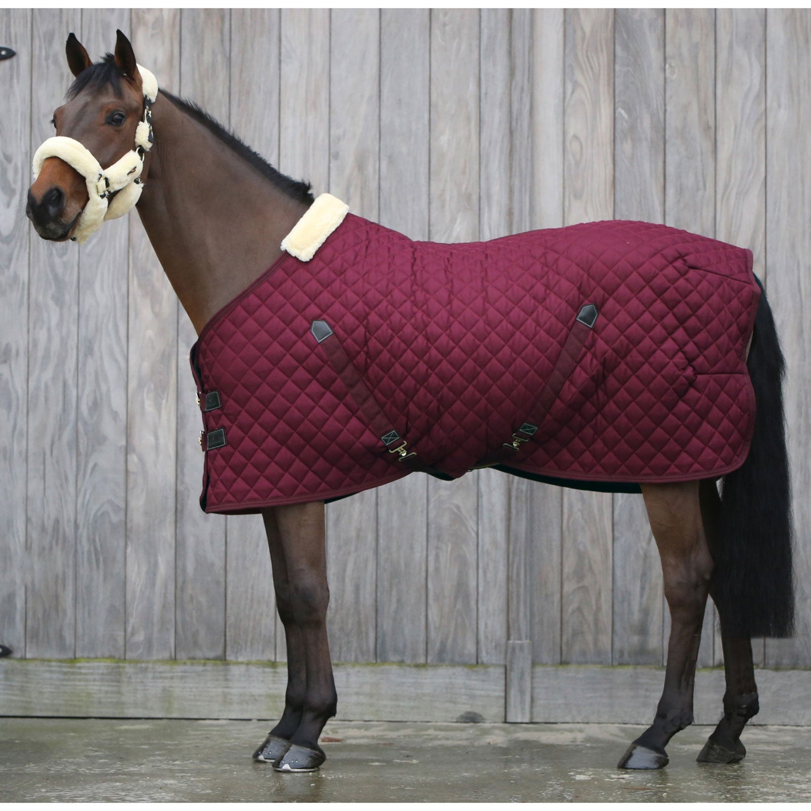 Kentucky Horsewear Staldeken 400g Paardendekens