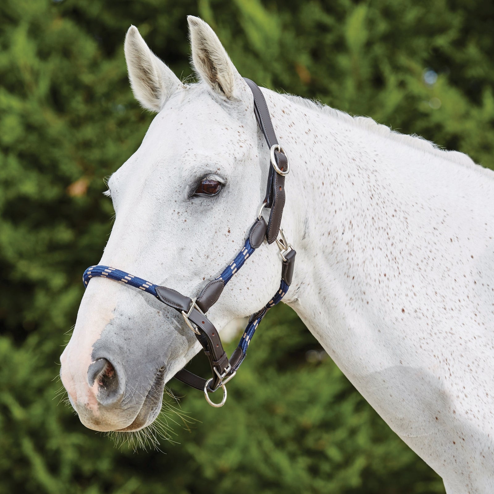 Kincade Lederen Touwhalster Halsters & Halstertouwen