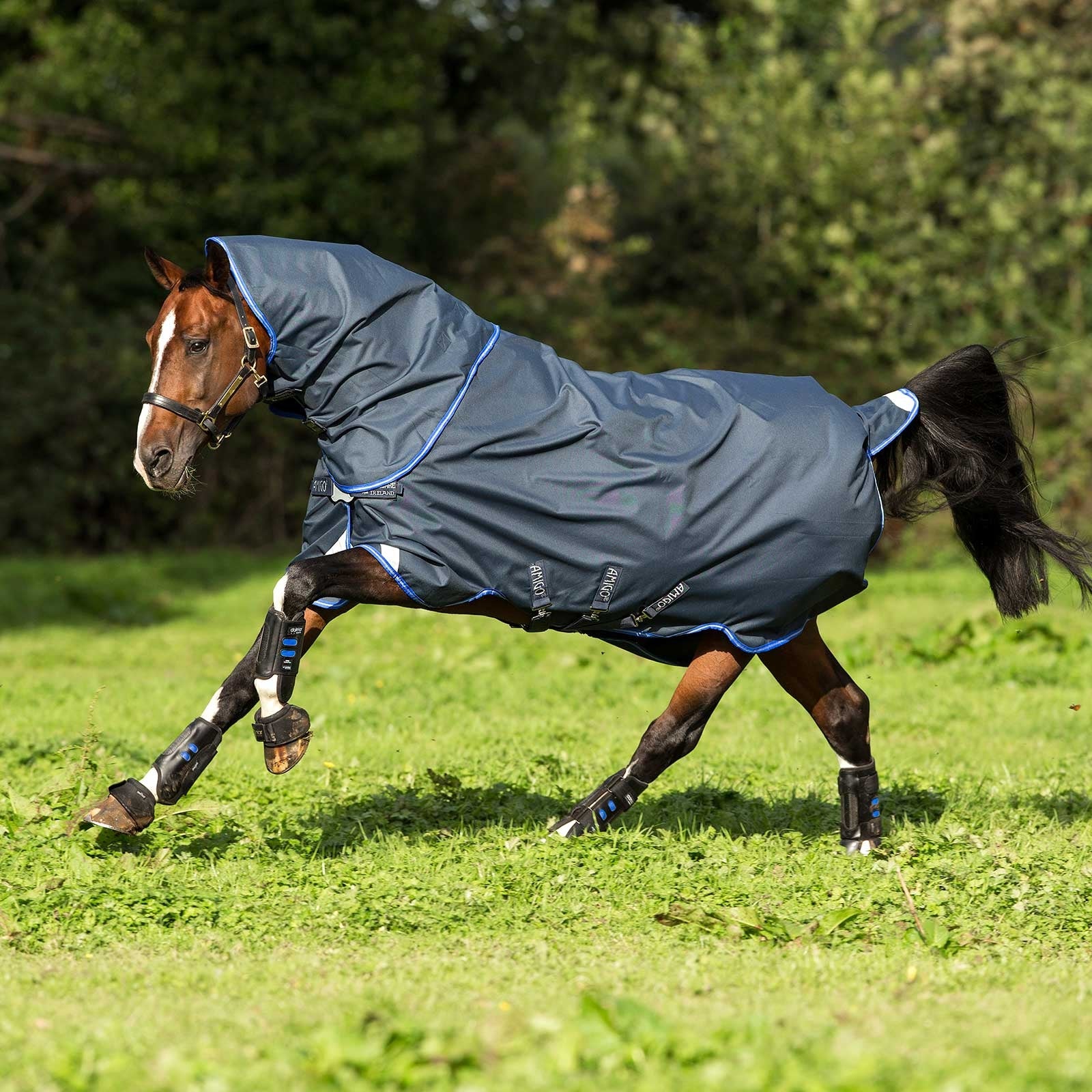 Horseware Amigo Bravo 12 Plus Lite Disc, 0 grams Paardendekens