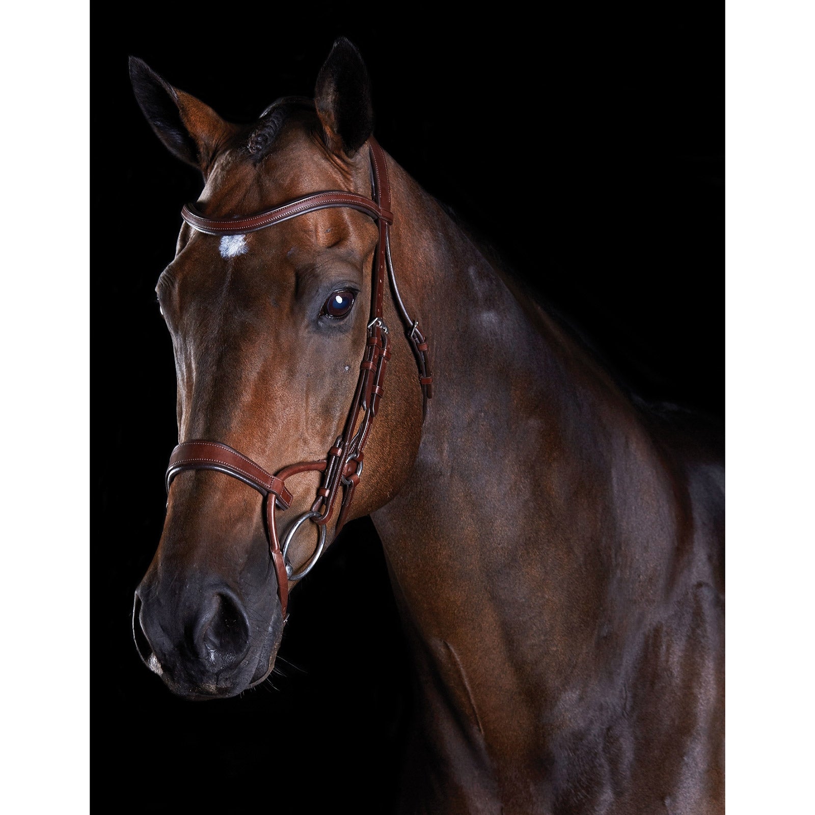 Collegiate ComFiTec Training Bridle Bridles & Reins