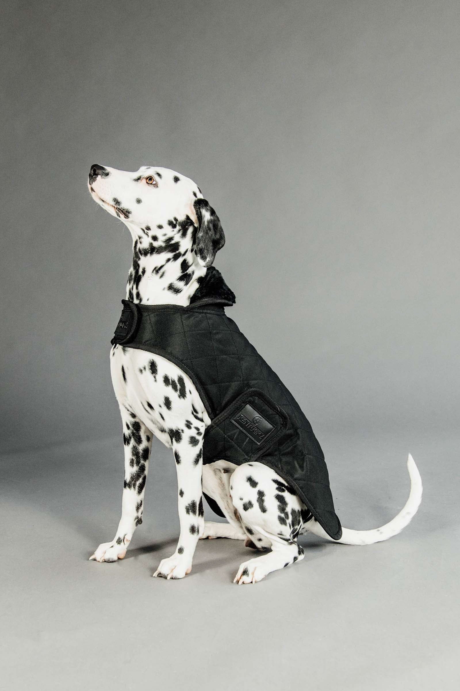 Kentucky Dogwear Hondendeken Hond