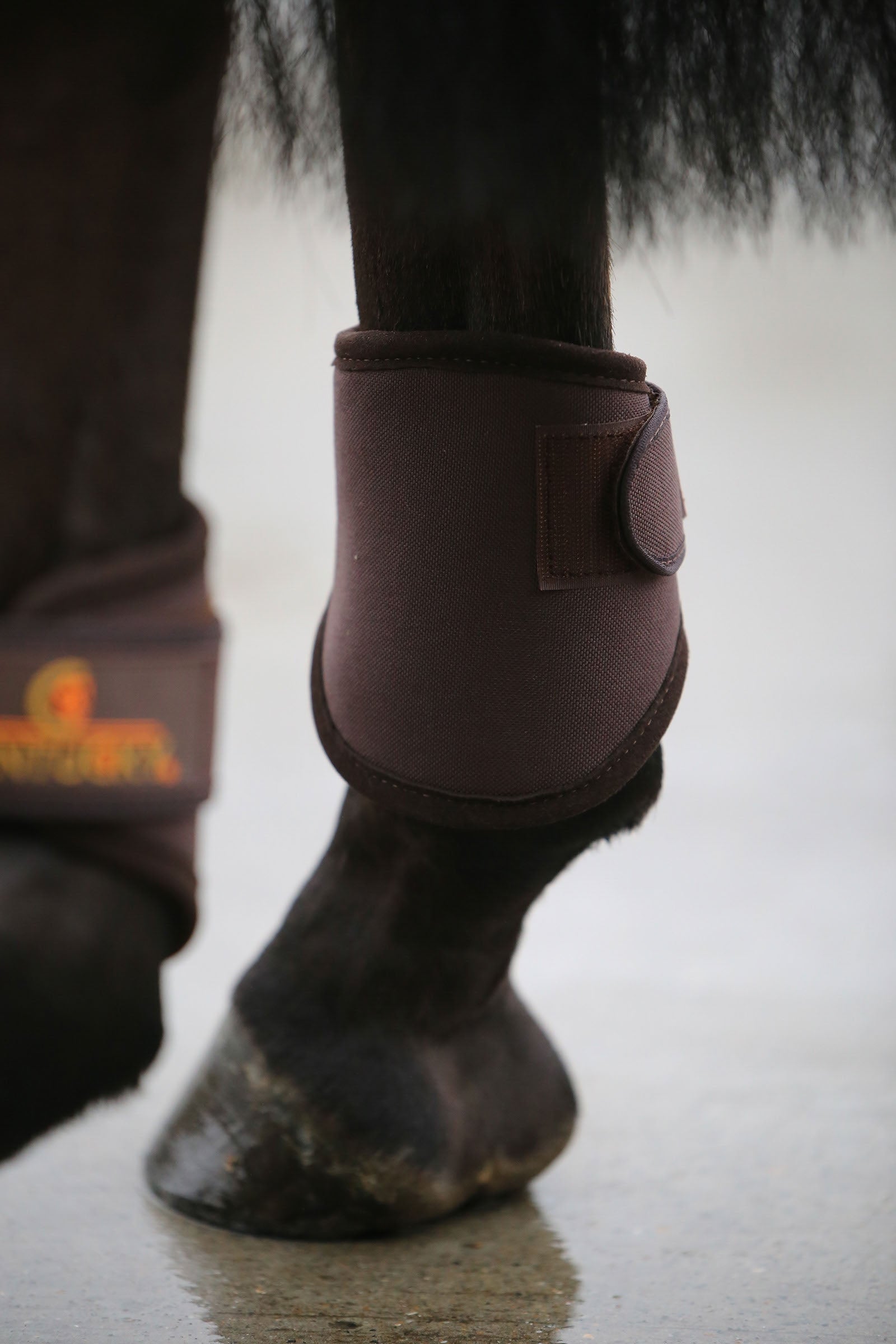 Kentucky Horsewear Kentucky 3D Spacer Hind Leg & Hoof Protection