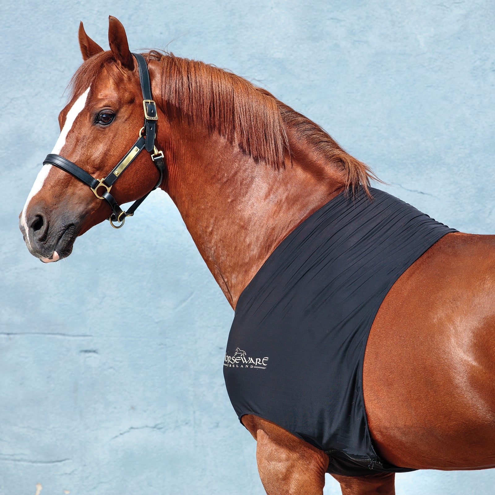 Horseware Rambo Slinky Borstbeschermer Paardendekens