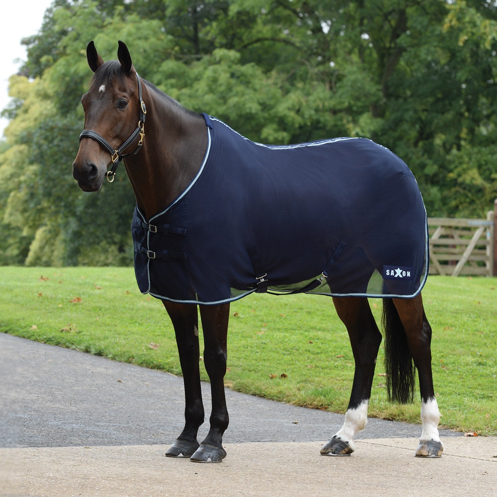 Saxon Element Zweetdeken Gaas, standaard hals Paardendekens