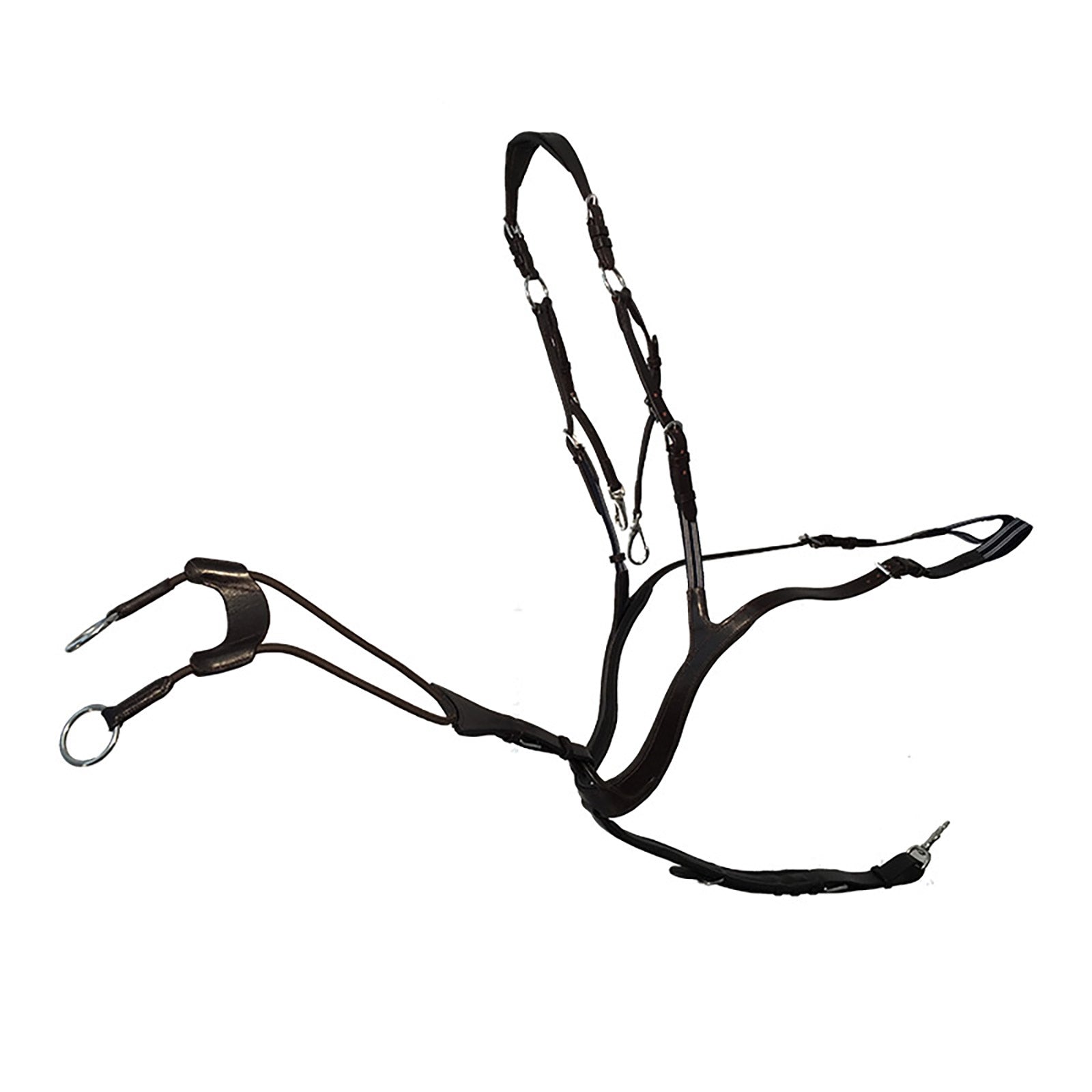 Alt Tag fallback text for IMAGE