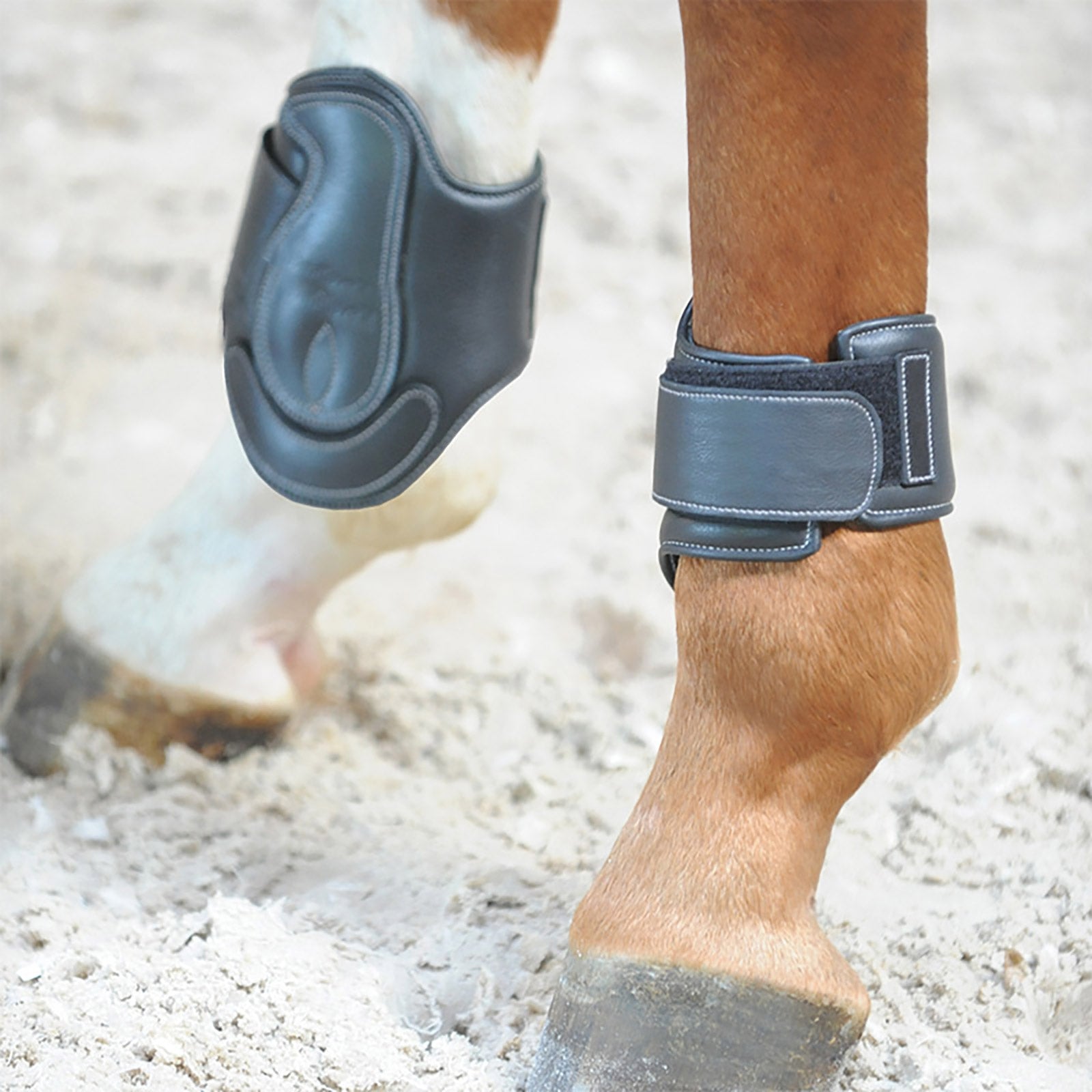 Kavalkade Leather boots Soft Dekor Leg & Hoof Protection