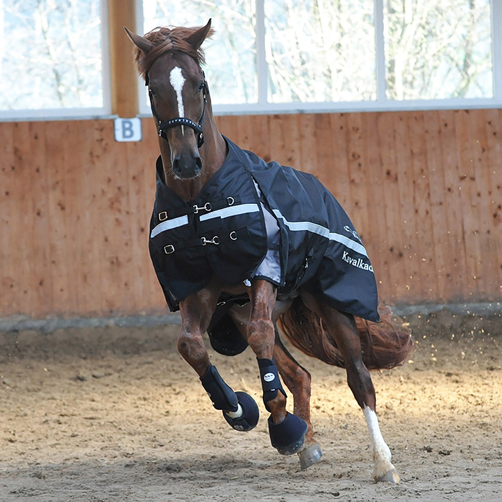 Kavalkade Alaska IV Paardendeken, 100 g Paardendekens