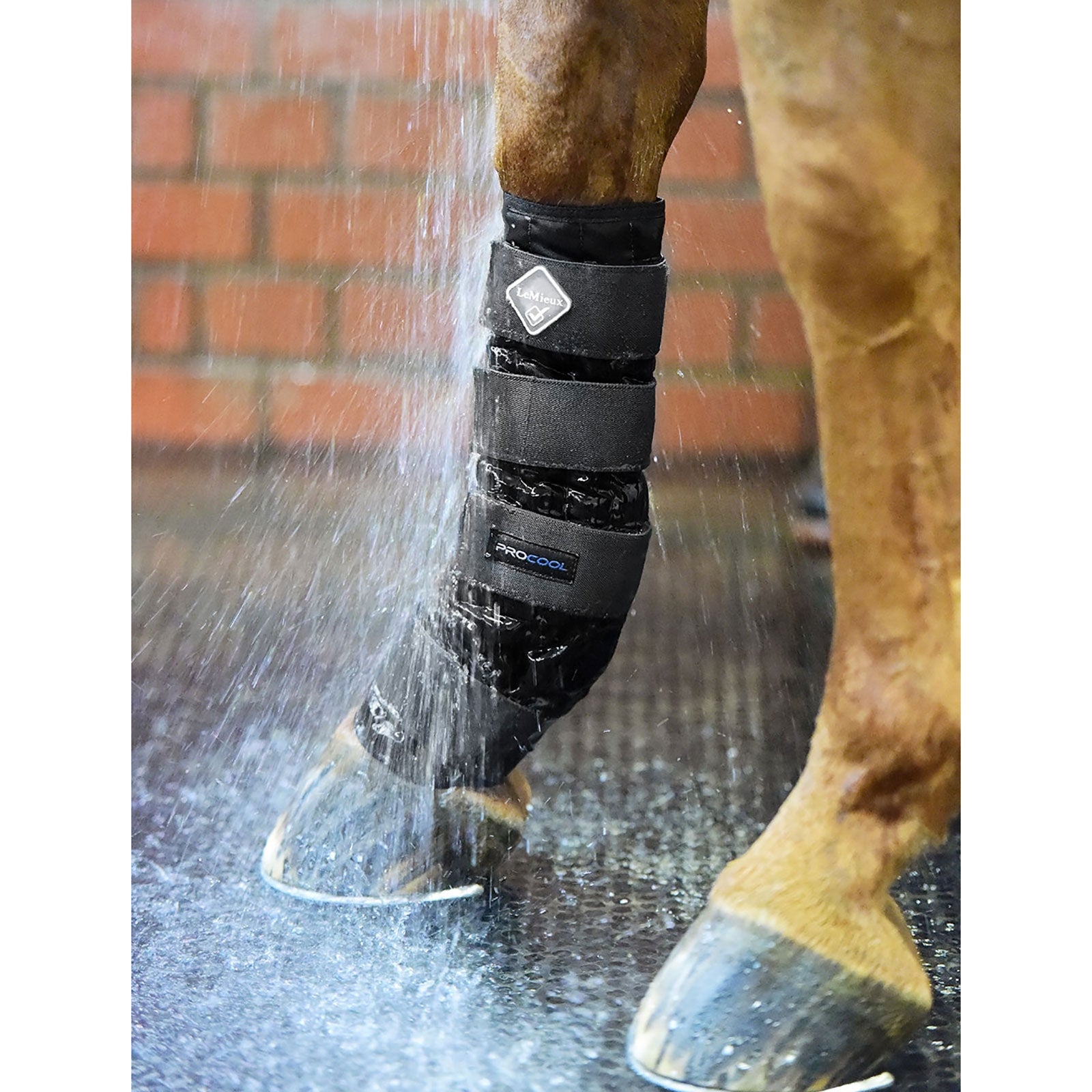 LeMieux Koud water beschermers Leg & Hoof Protection