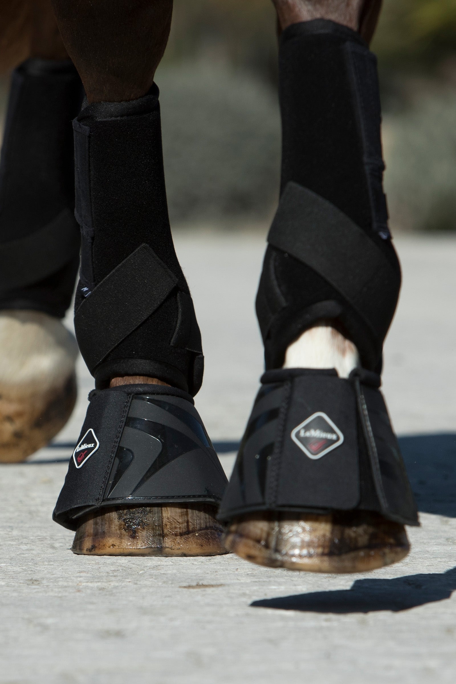 LeMieux ProShell Over Reach Boot Leg Protection & Hoof Protection for Horses