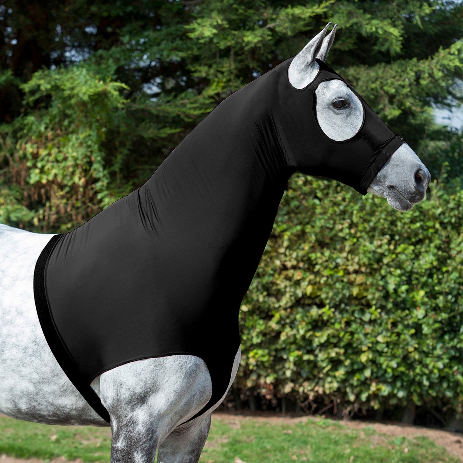LeMieux Lycra Hoods Horse Rugs